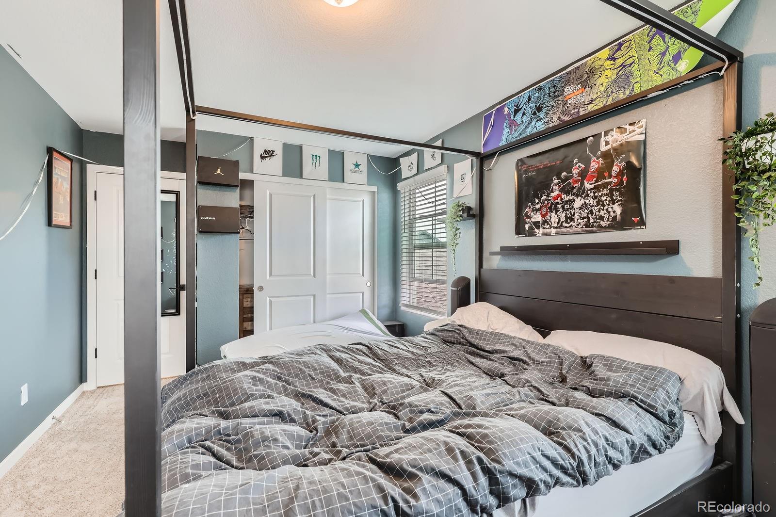 MLS Image #19 for 8433  mount kataka loop ,littleton, Colorado