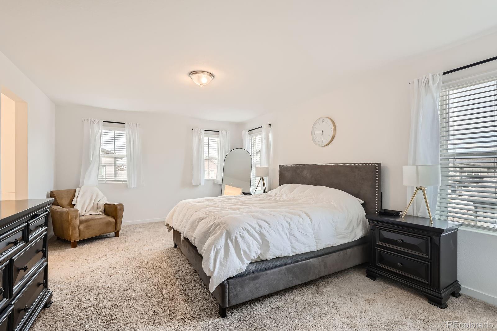 MLS Image #25 for 8433  mount kataka loop ,littleton, Colorado