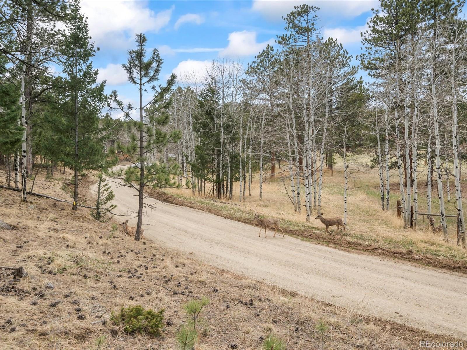 MLS Image #11 for 14  aspen drive,bailey, Colorado