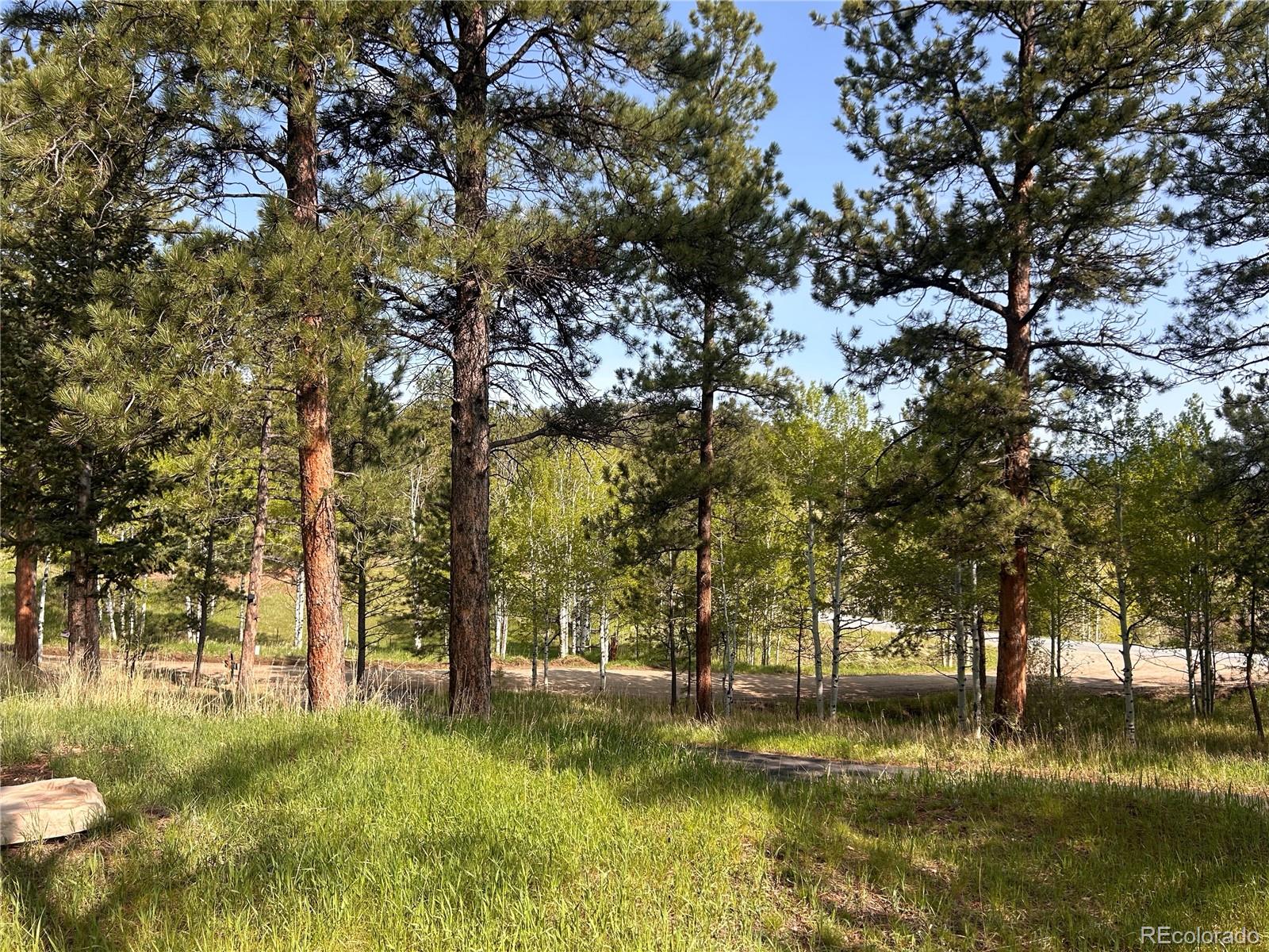 MLS Image #12 for 14  aspen drive,bailey, Colorado
