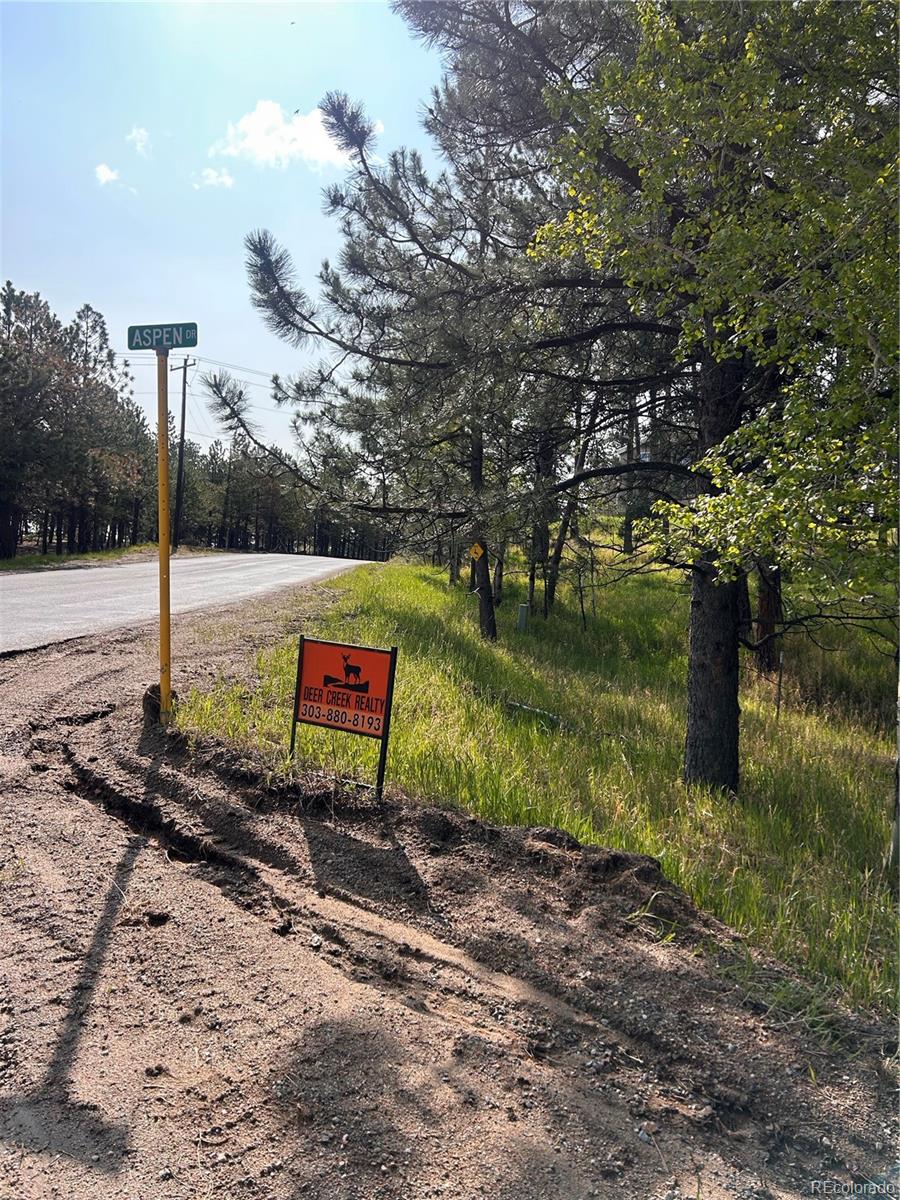 MLS Image #39 for 14  aspen drive,bailey, Colorado