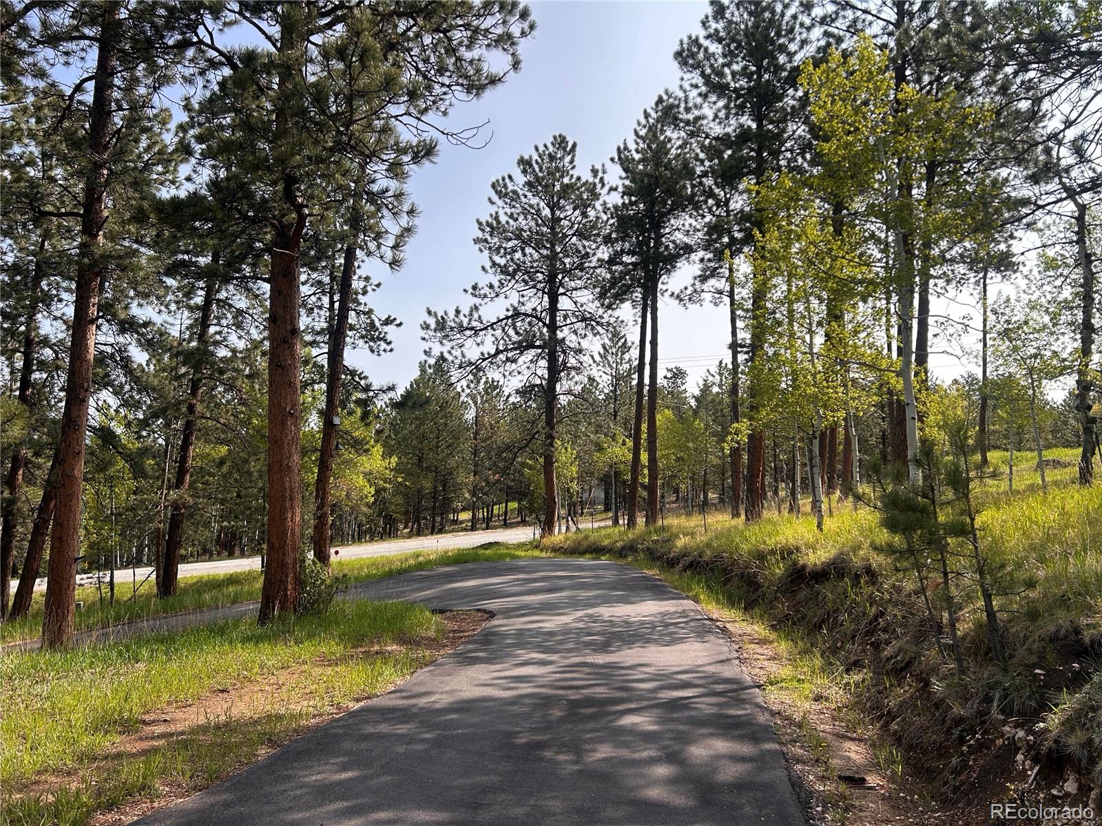 MLS Image #40 for 14  aspen drive,bailey, Colorado