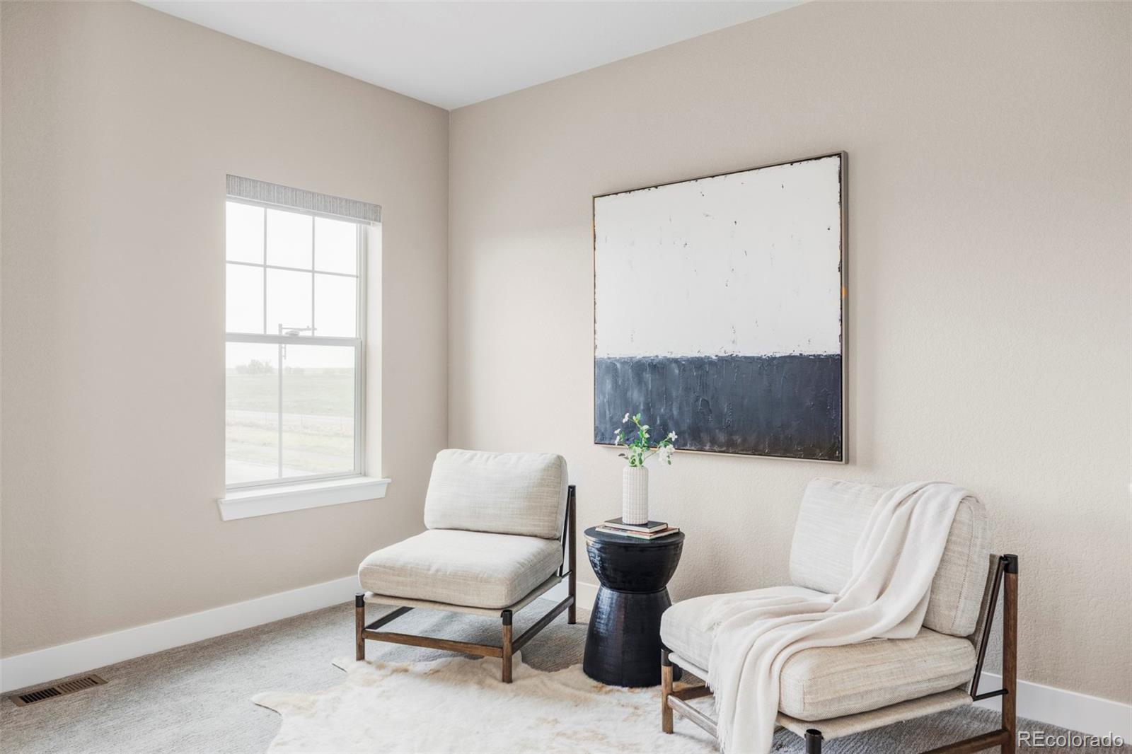 MLS Image #11 for 10384 e 60th place,denver, Colorado