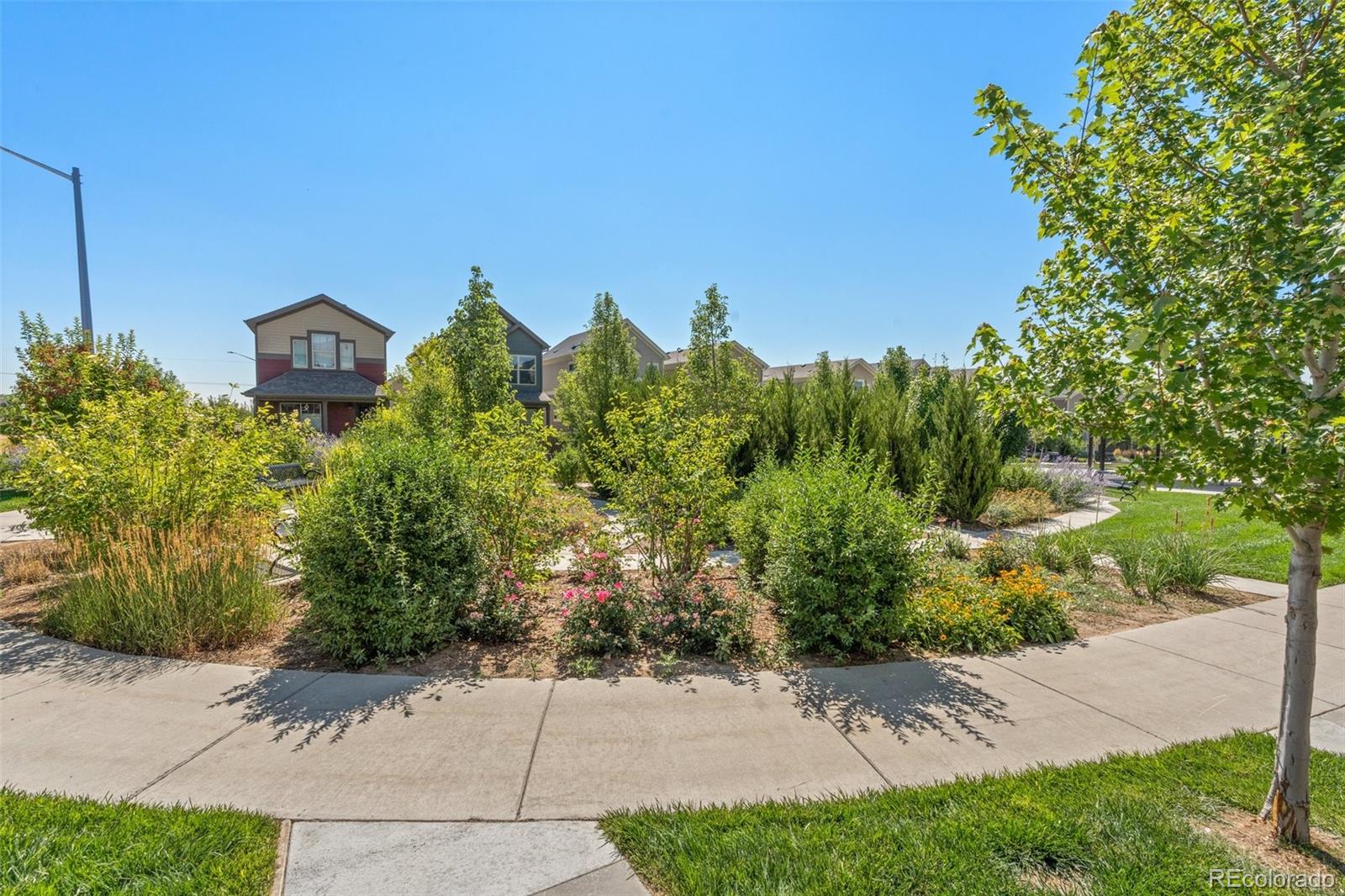 MLS Image #5 for 12794  tamarac street,thornton, Colorado