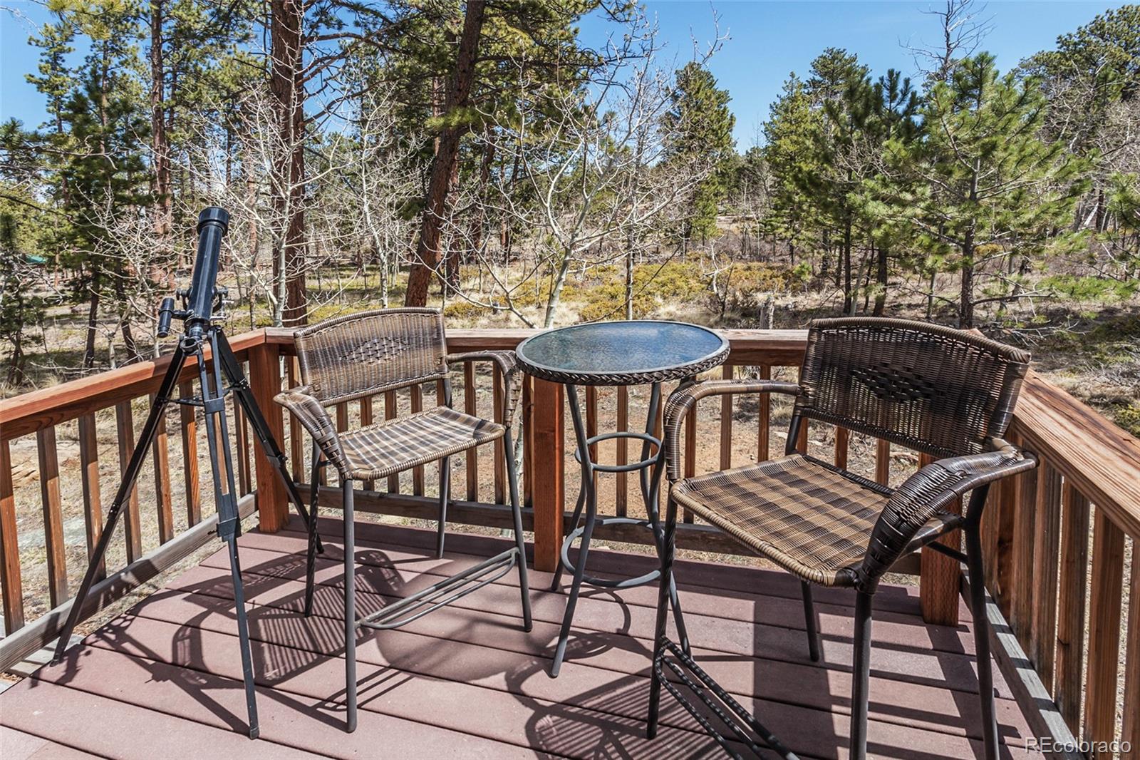 MLS Image #8 for 1701  tesuque trail,red feather lakes, Colorado