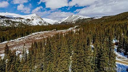 MLS Image #35 for 22  cr-14a ,fairplay, Colorado