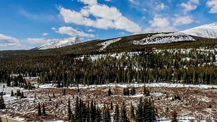 MLS Image #36 for 22  cr-14a ,fairplay, Colorado