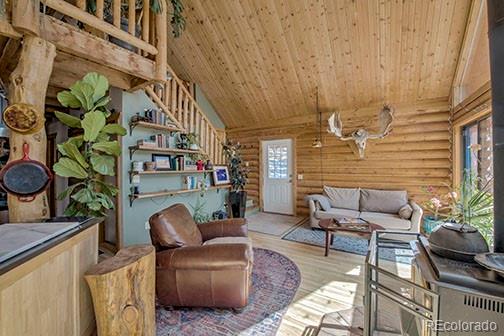 MLS Image #5 for 22  cr-14a ,fairplay, Colorado