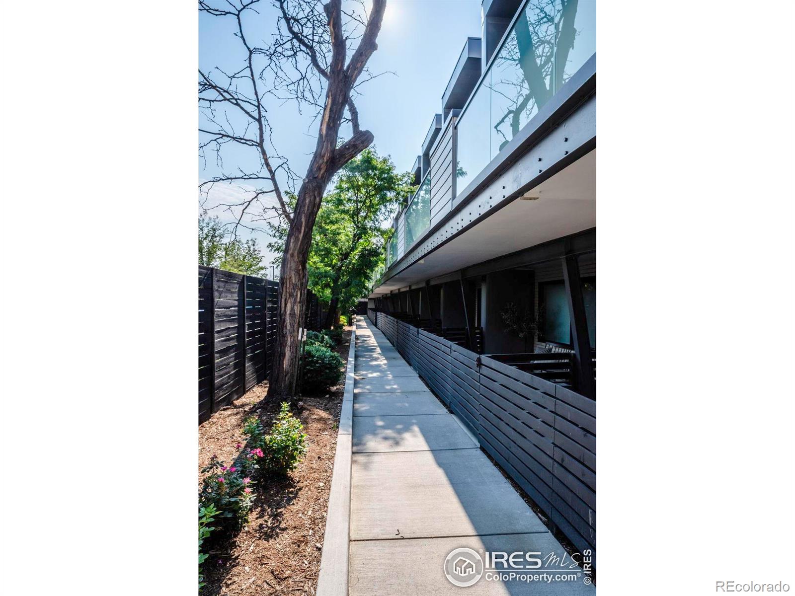 MLS Image #29 for 2465  walnut street,boulder, Colorado