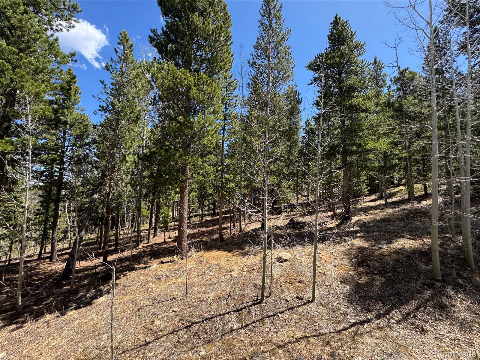 MLS Image #35 for 70  highpoint circle,black hawk, Colorado