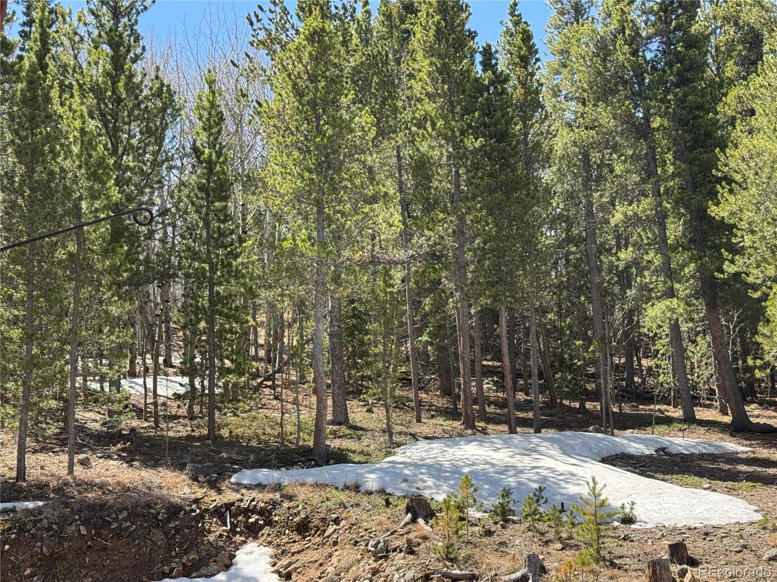 MLS Image #36 for 70  highpoint circle,black hawk, Colorado