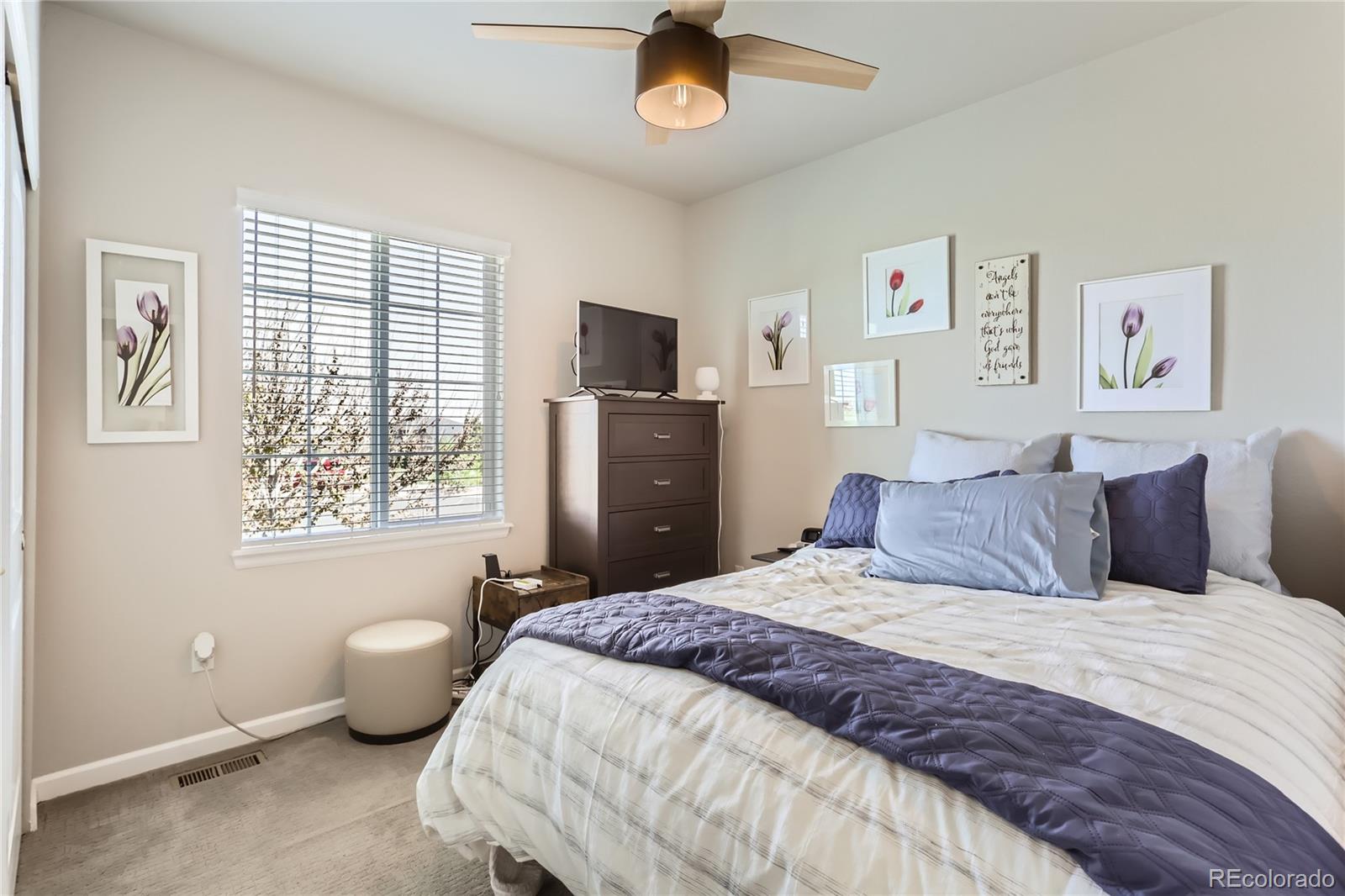 MLS Image #18 for 17720  weymouth avenue,parker, Colorado
