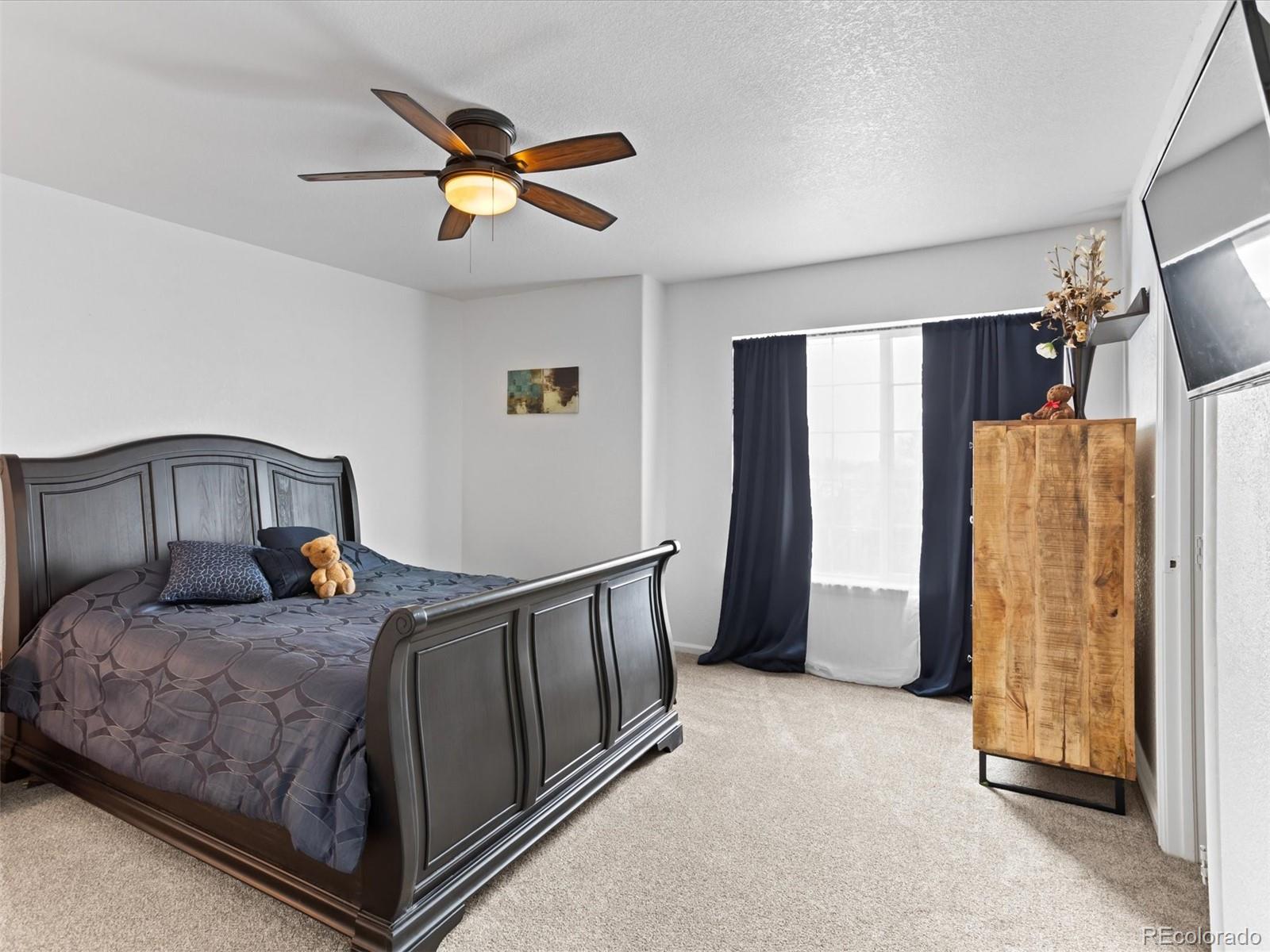MLS Image #20 for 2468  candleglow street,castle rock, Colorado