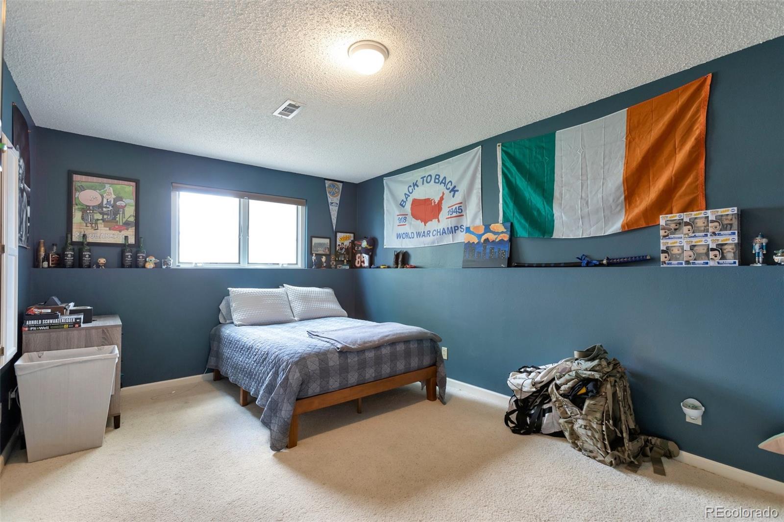 MLS Image #18 for 2055  quail drive,lakewood, Colorado