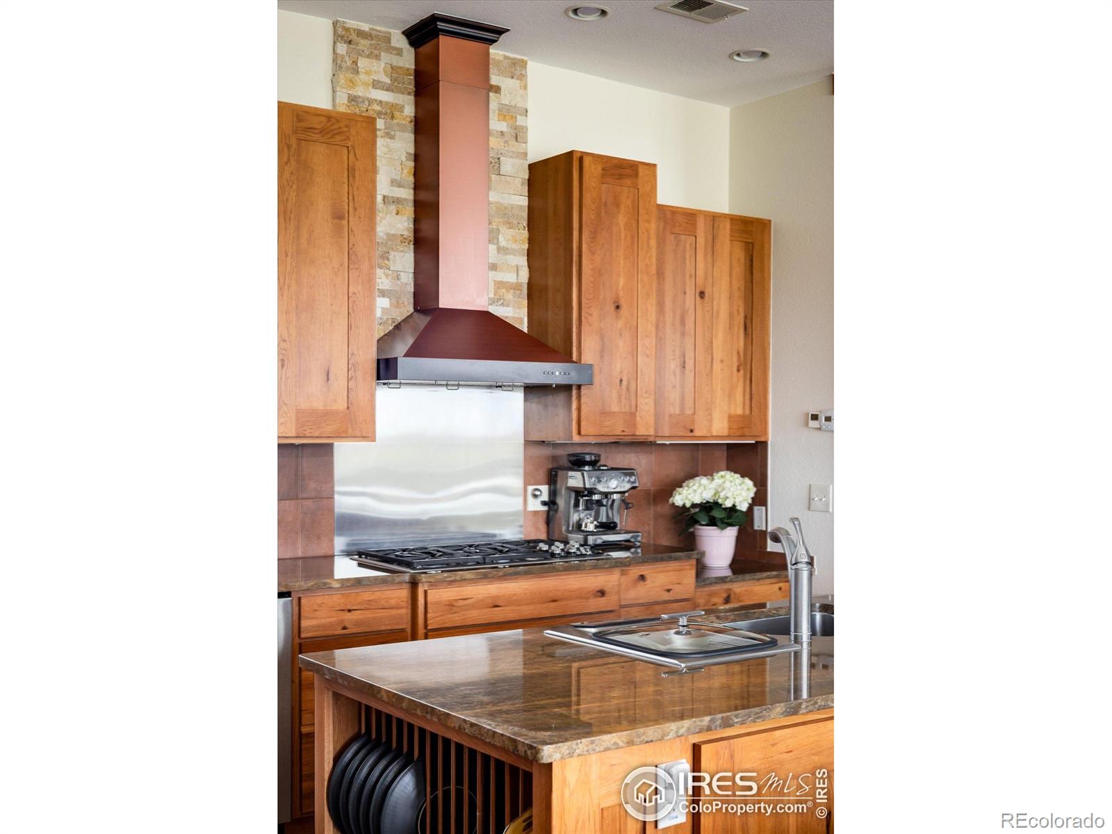 MLS Image #13 for 6224  trevarton drive,longmont, Colorado