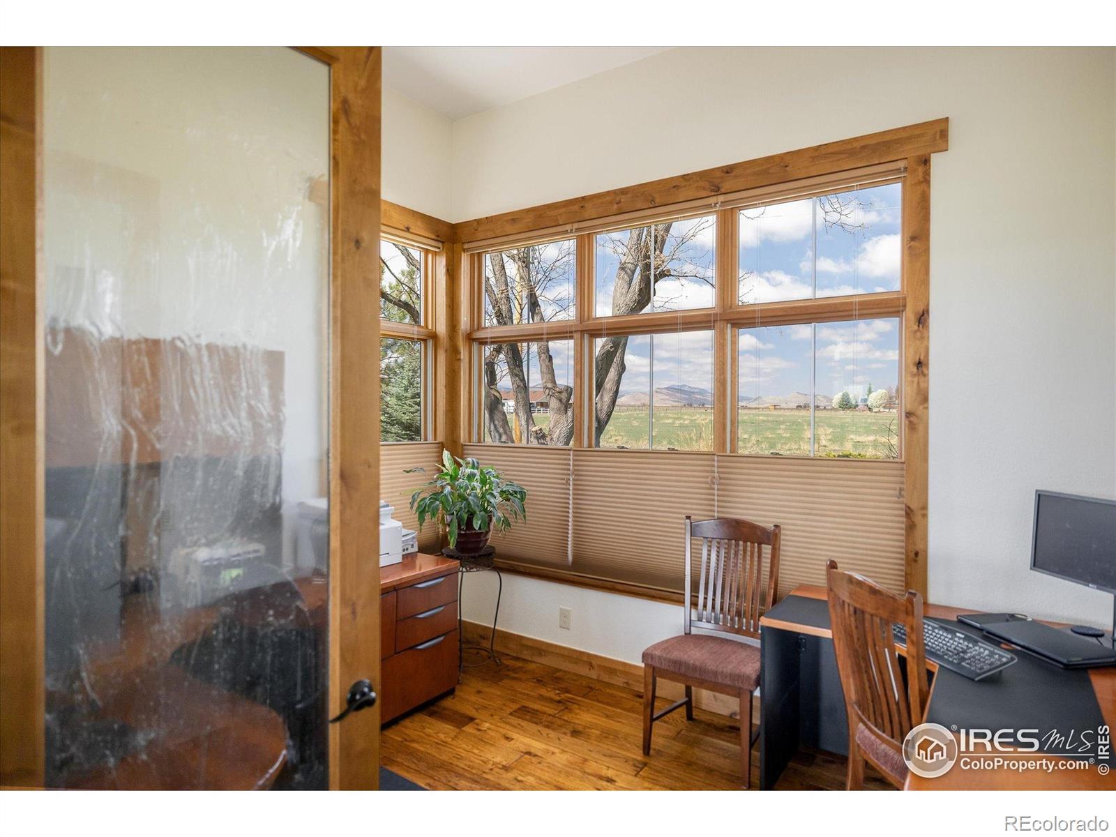 MLS Image #14 for 6224  trevarton drive,longmont, Colorado