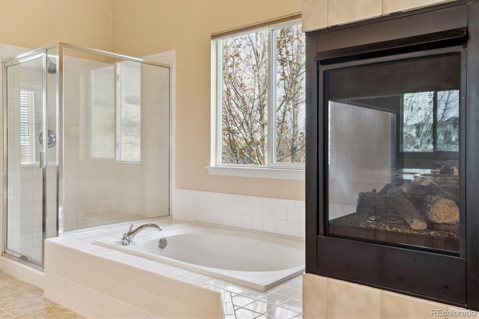 MLS Image #19 for 7141  red mesa drive,littleton, Colorado