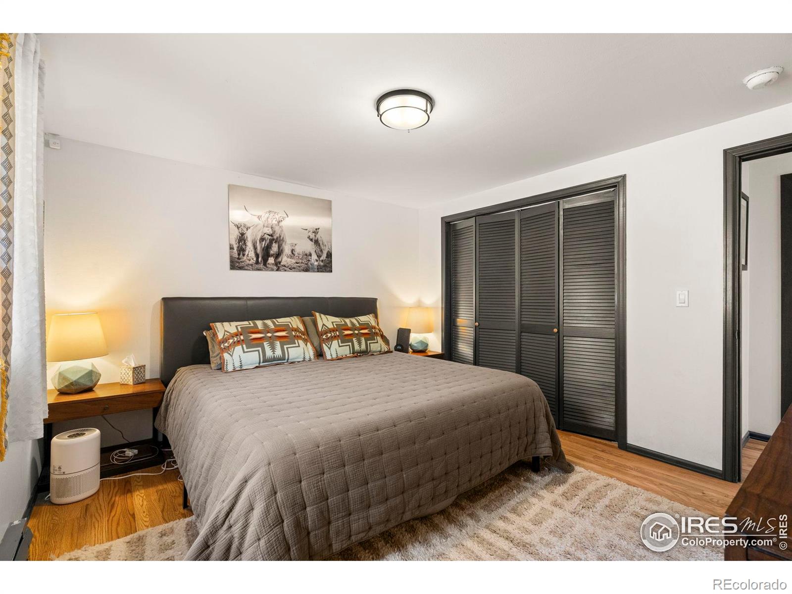 MLS Image #14 for 364  jasper drive,lyons, Colorado