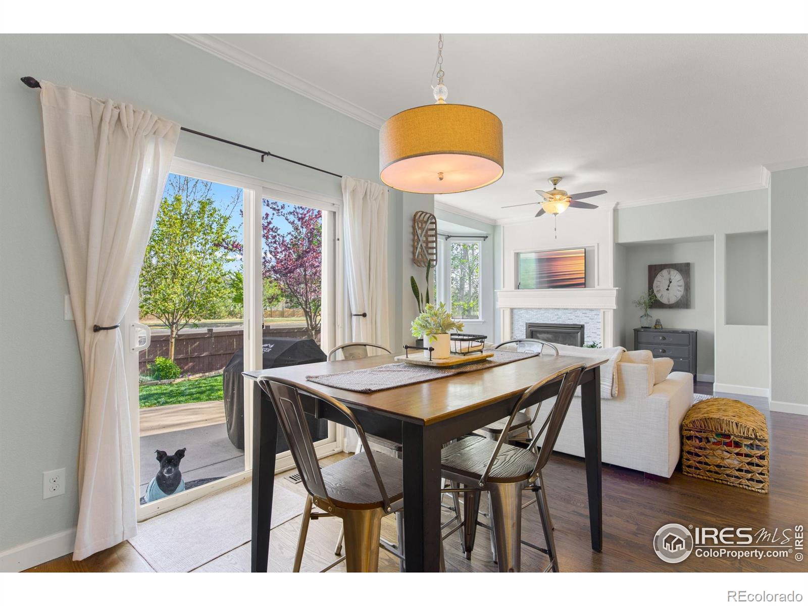 MLS Image #10 for 6386  mayfair avenue,timnath, Colorado