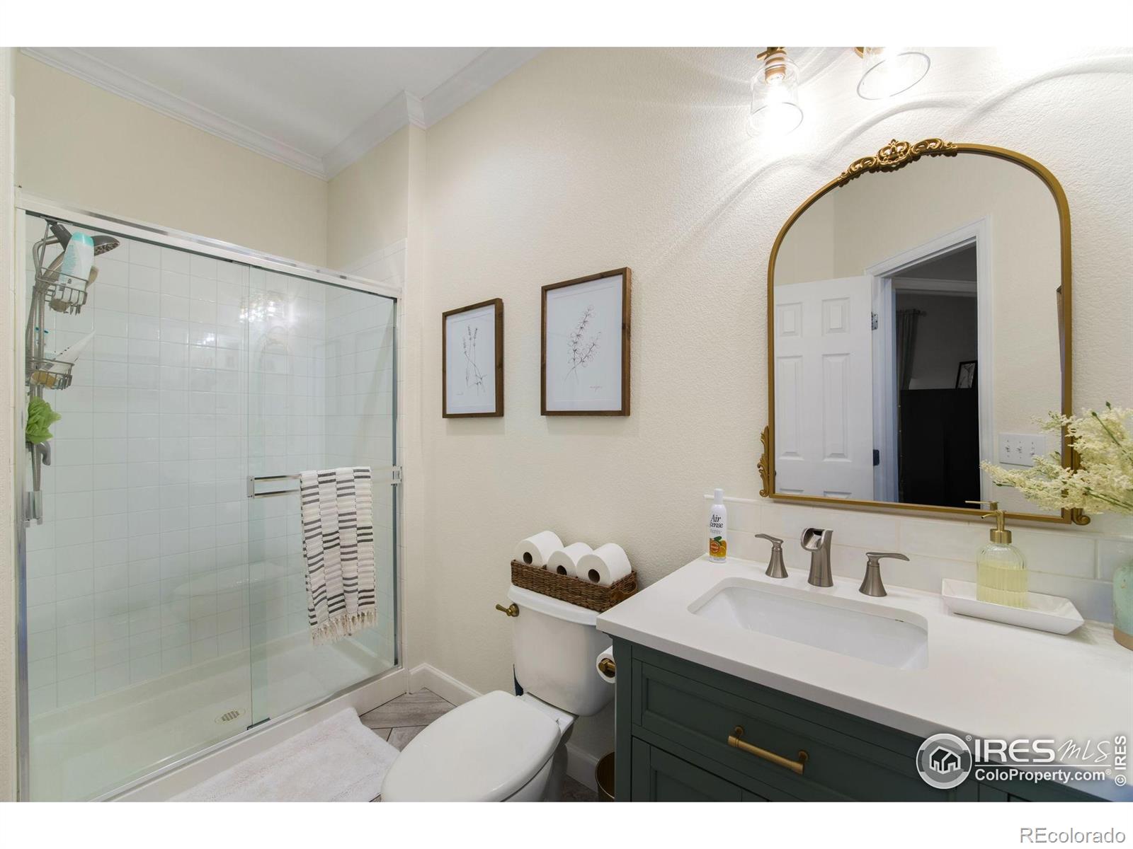 MLS Image #15 for 6386  mayfair avenue,timnath, Colorado