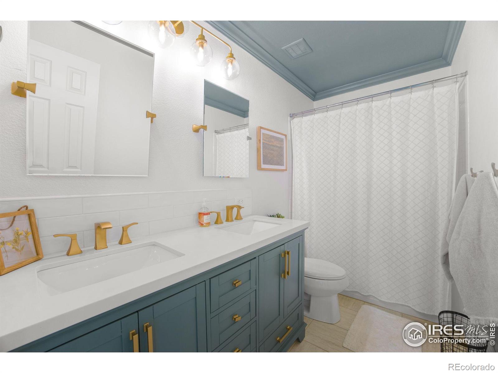 MLS Image #19 for 6386  mayfair avenue,timnath, Colorado