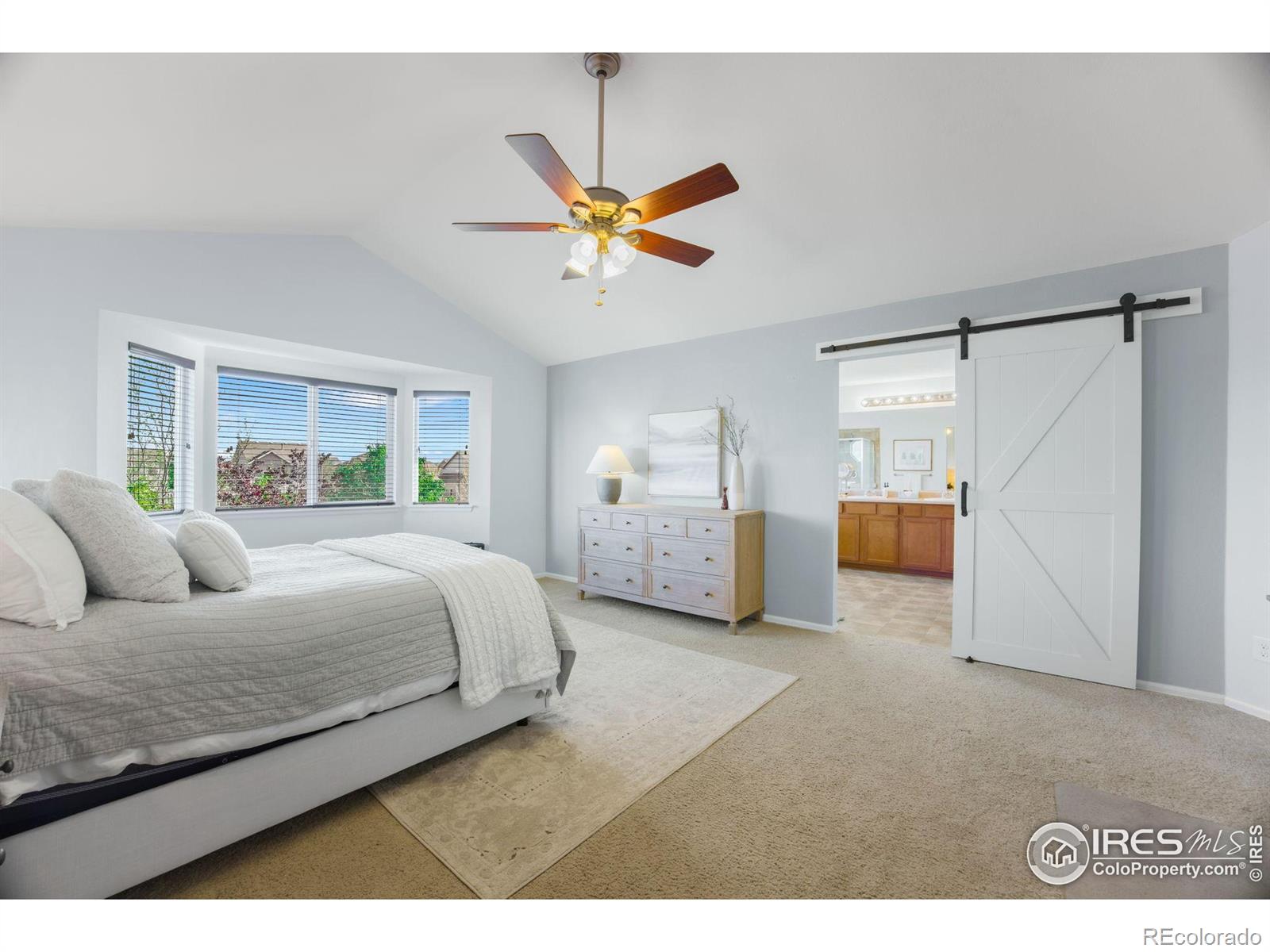 MLS Image #21 for 6386  mayfair avenue,timnath, Colorado