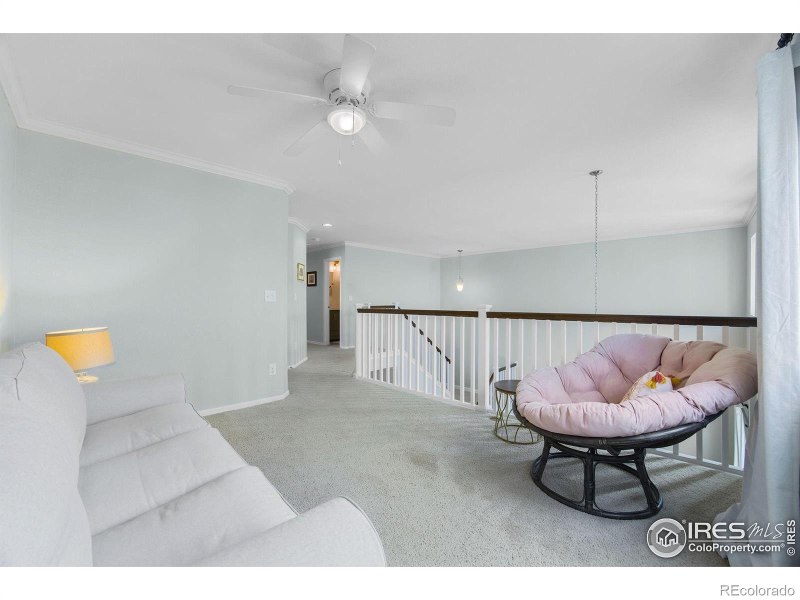 MLS Image #25 for 6386  mayfair avenue,timnath, Colorado