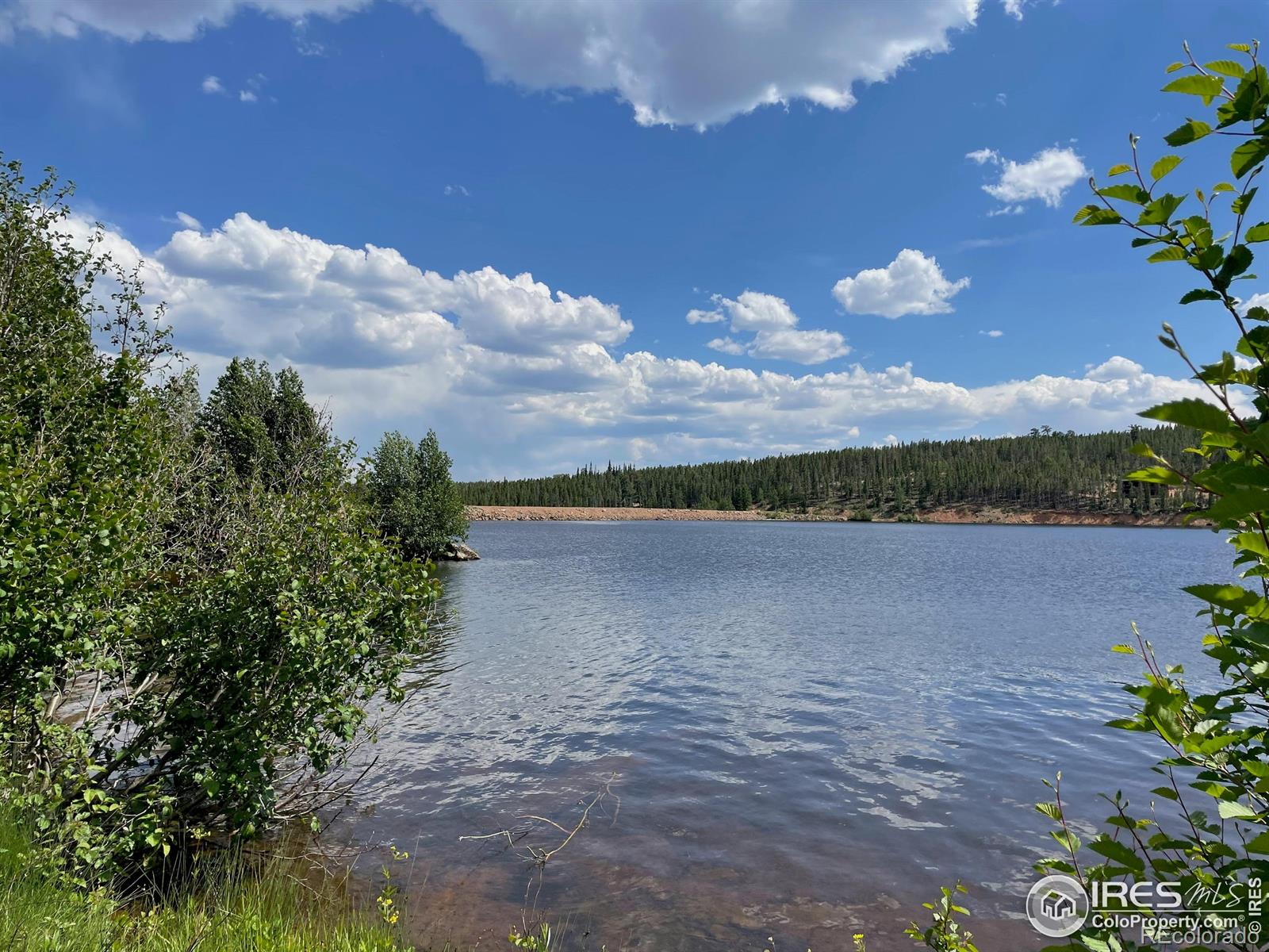 MLS Image #35 for 134  swift deer road,red feather lakes, Colorado