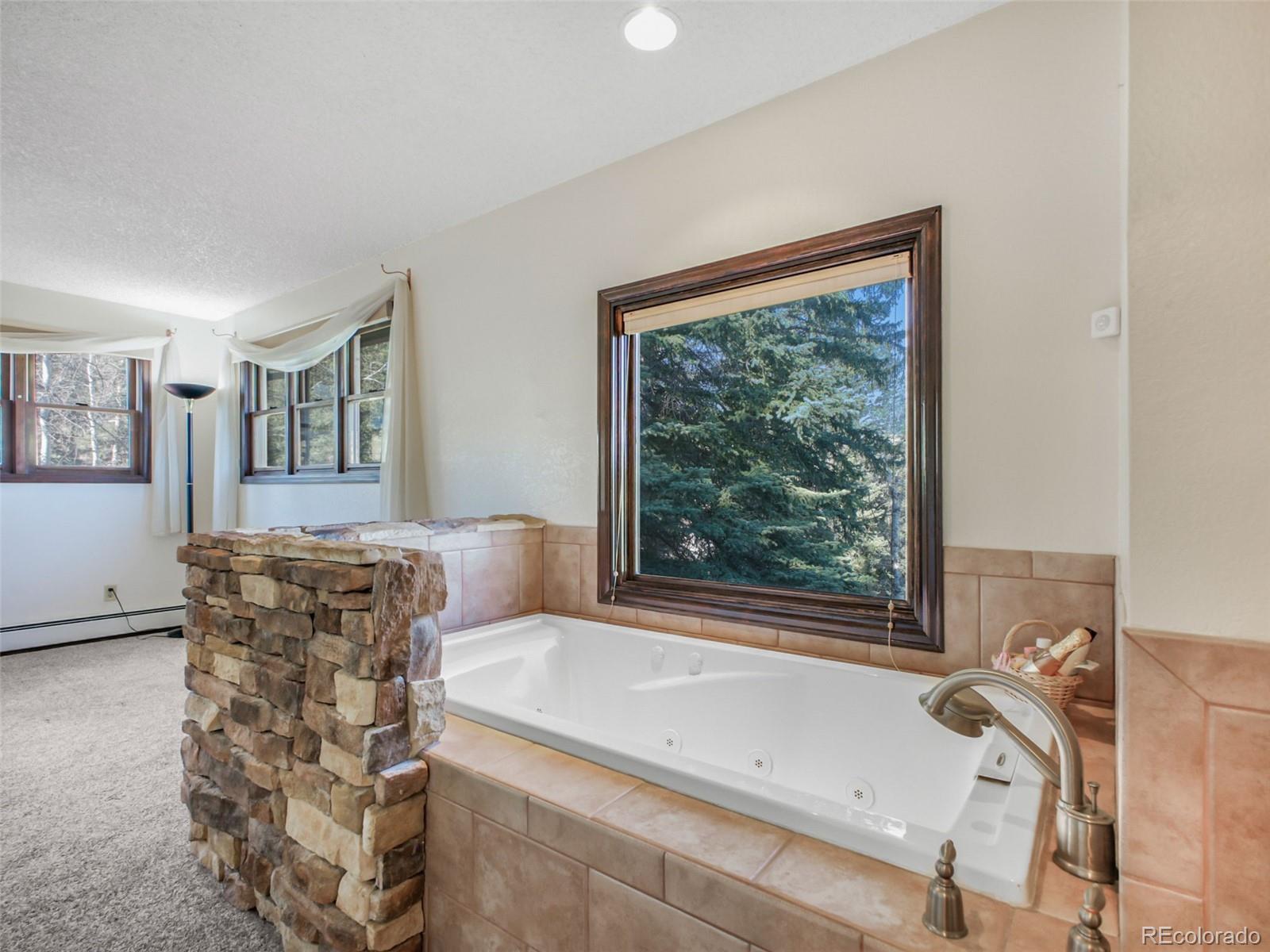 MLS Image #29 for 8473  gray fox drive,evergreen, Colorado