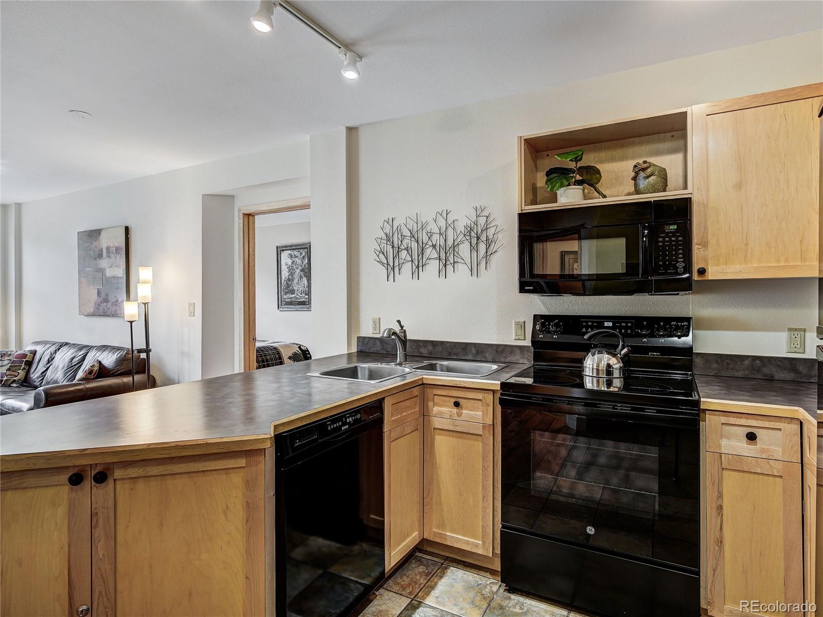 MLS Image #5 for 140  ida belle drive,dillon, Colorado