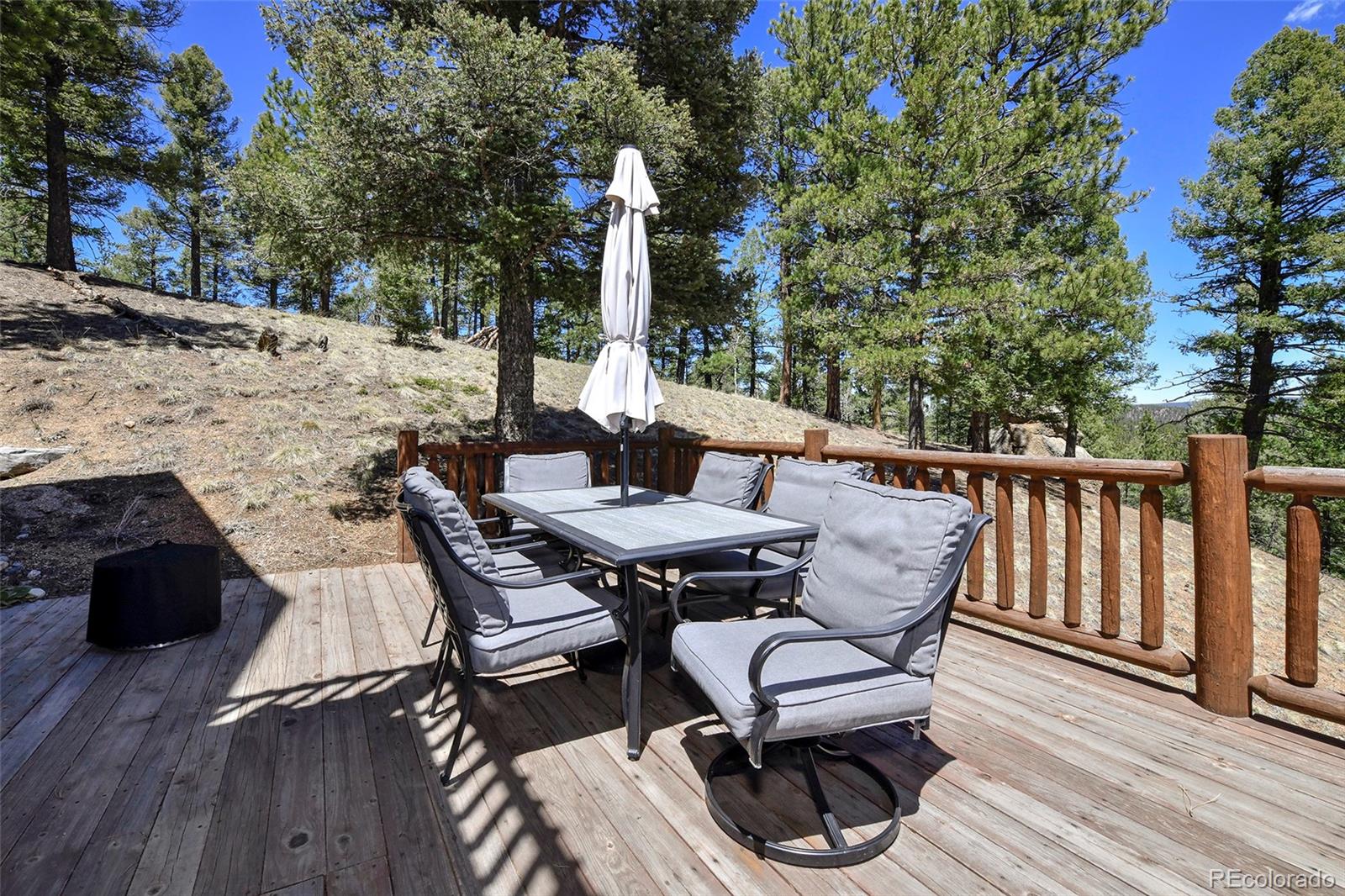 MLS Image #10 for 320  summit road,woodland park, Colorado