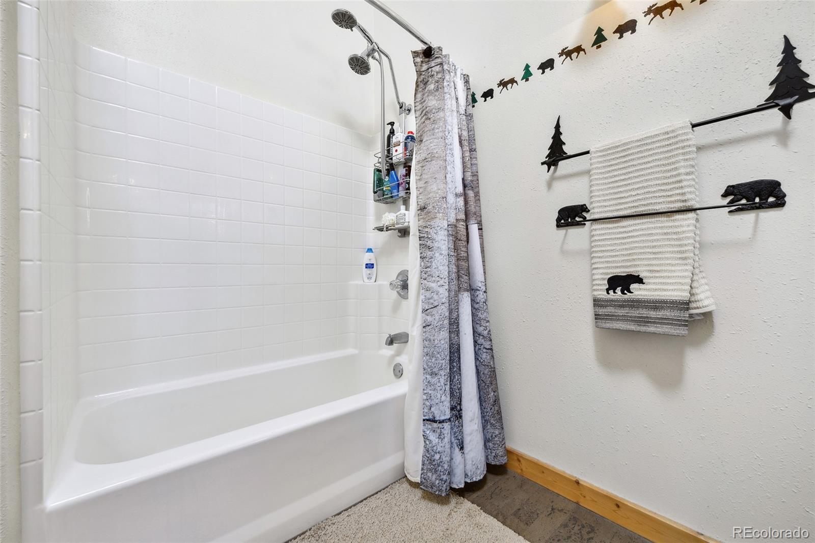 MLS Image #27 for 320  summit road,woodland park, Colorado