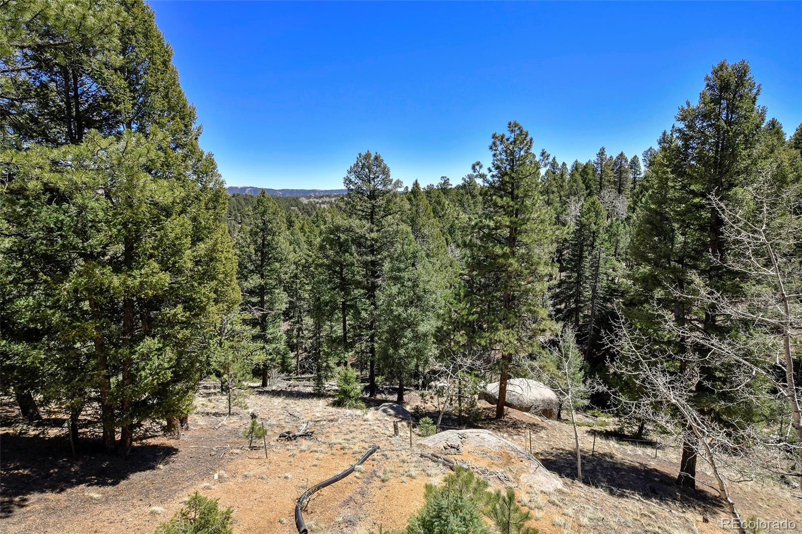 MLS Image #33 for 320  summit road,woodland park, Colorado
