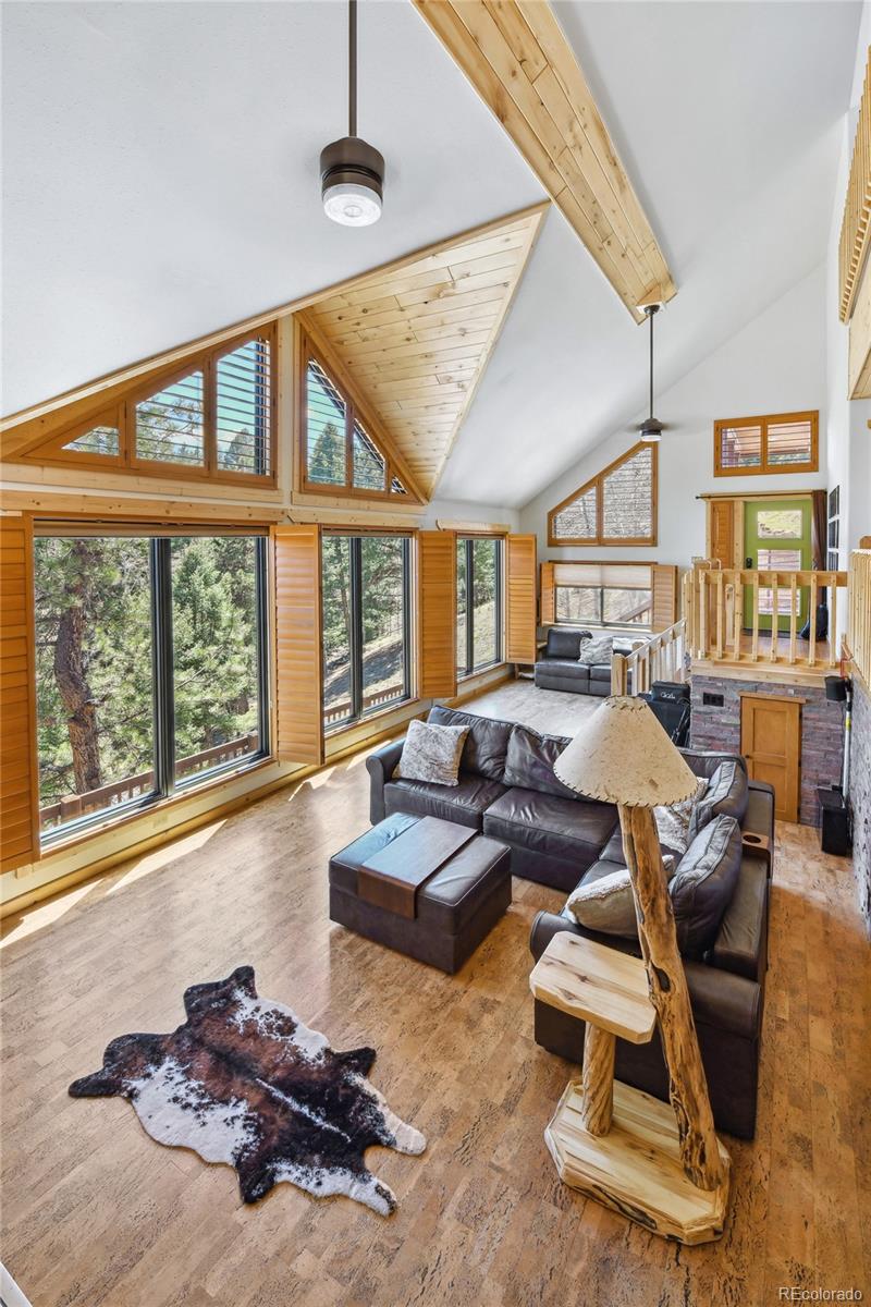 MLS Image #5 for 320  summit road,woodland park, Colorado