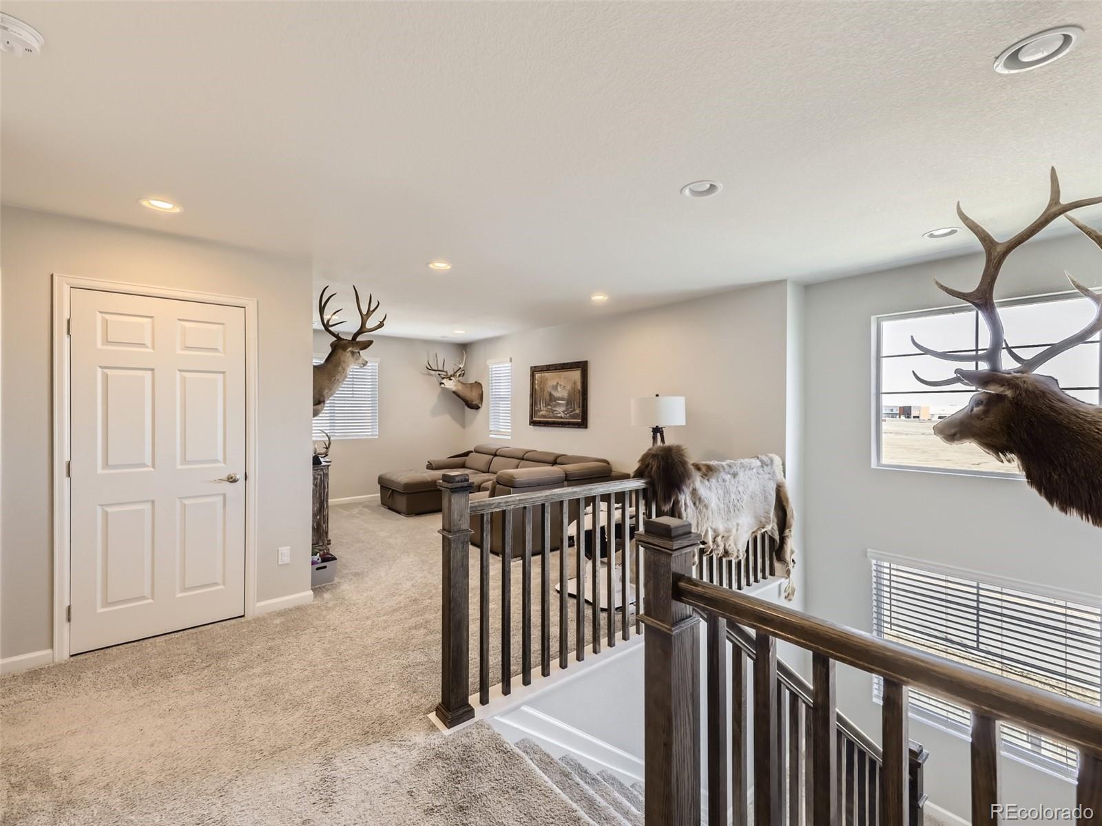 MLS Image #14 for 5995  fencerow place,brighton, Colorado