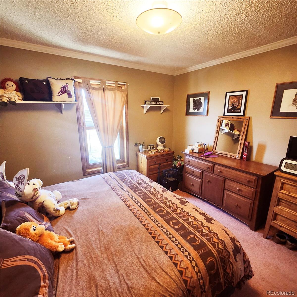 MLS Image #15 for 16659  county road 4 ,brighton, Colorado