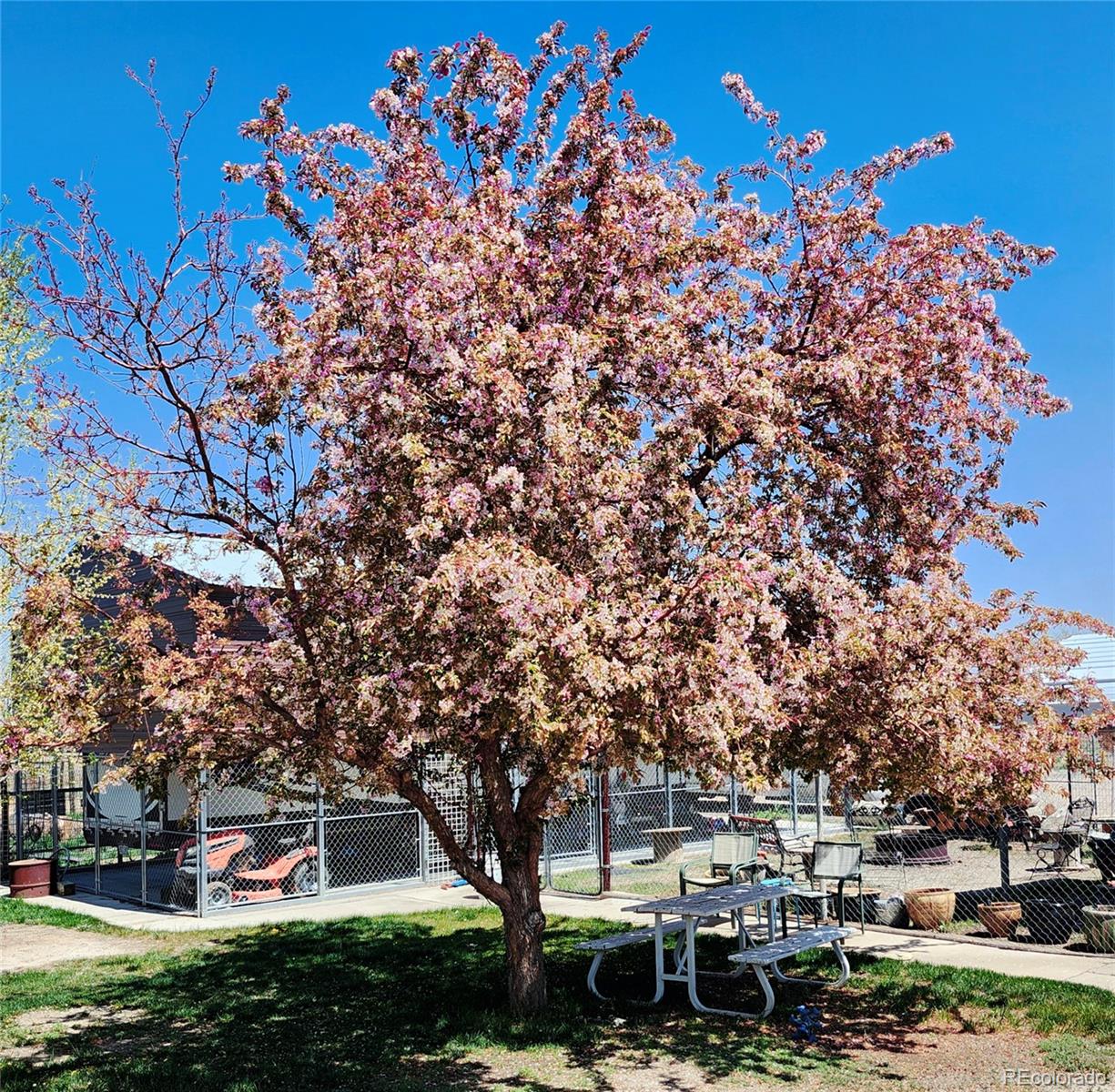 MLS Image #25 for 16659  county road 4 ,brighton, Colorado
