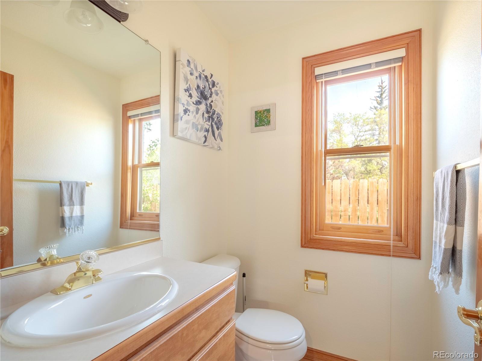 MLS Image #10 for 120 s san juan avenue,buena vista, Colorado