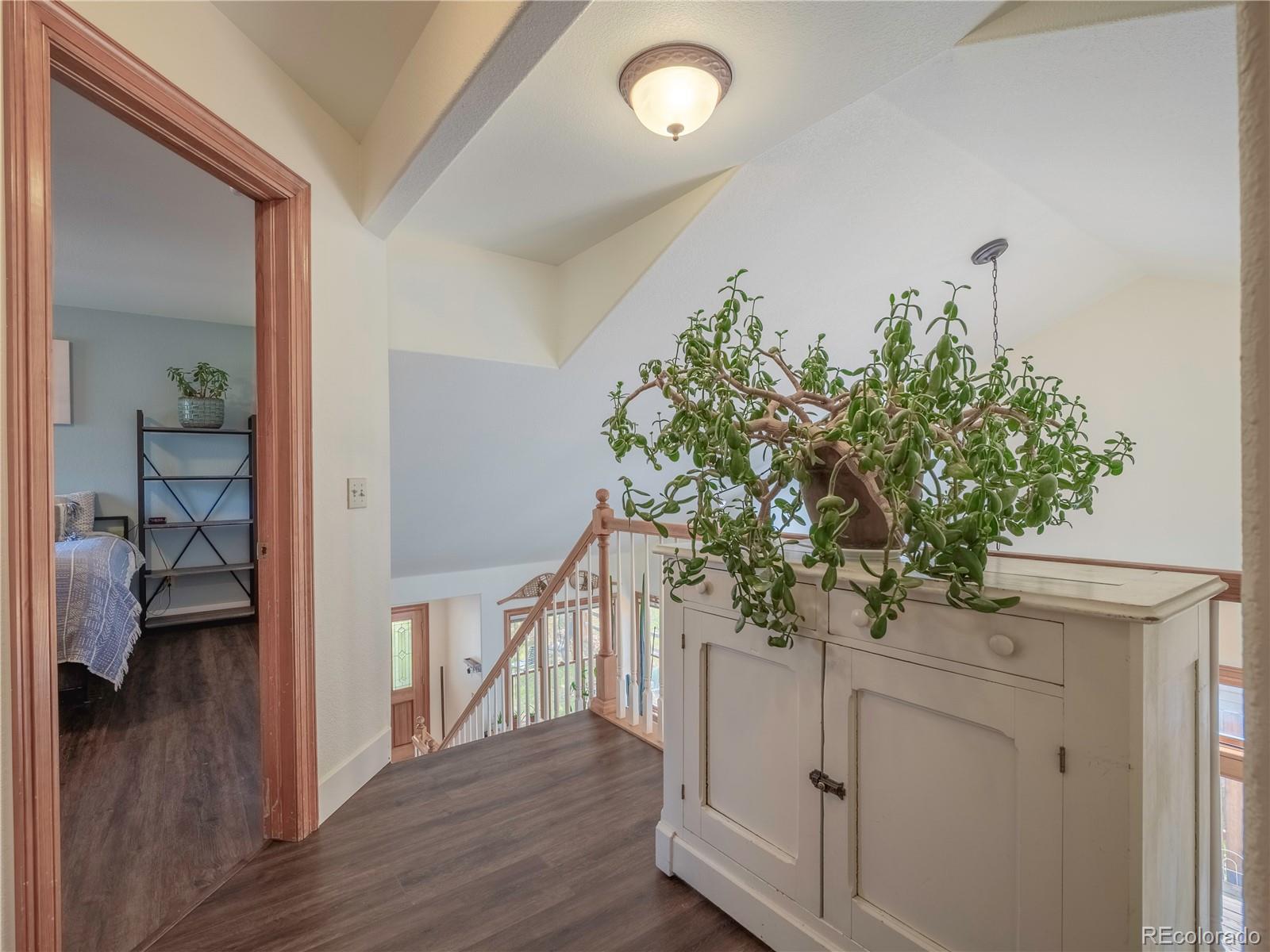 MLS Image #16 for 120 s san juan avenue,buena vista, Colorado