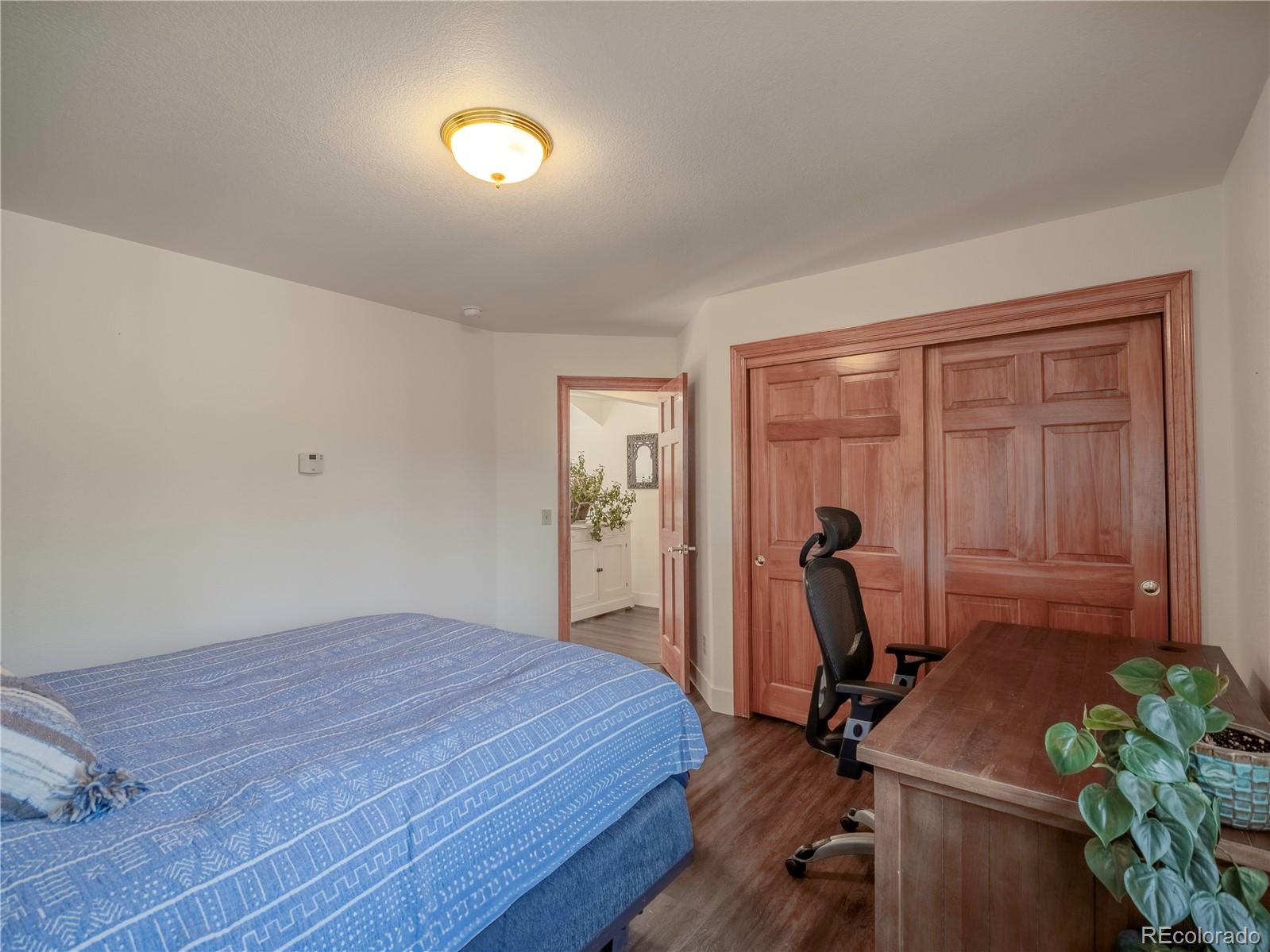 MLS Image #18 for 120 s san juan avenue,buena vista, Colorado