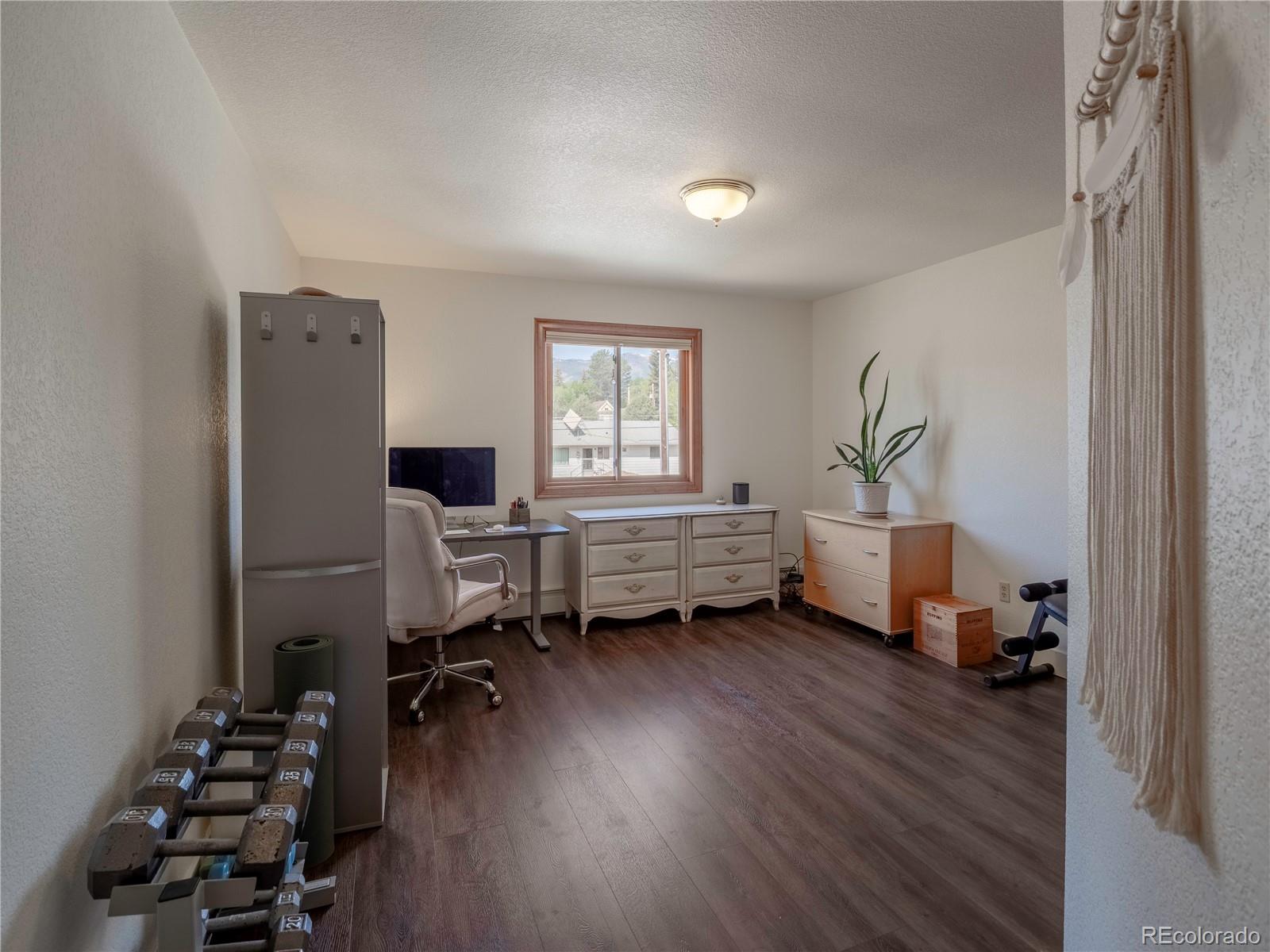 MLS Image #20 for 120 s san juan avenue,buena vista, Colorado