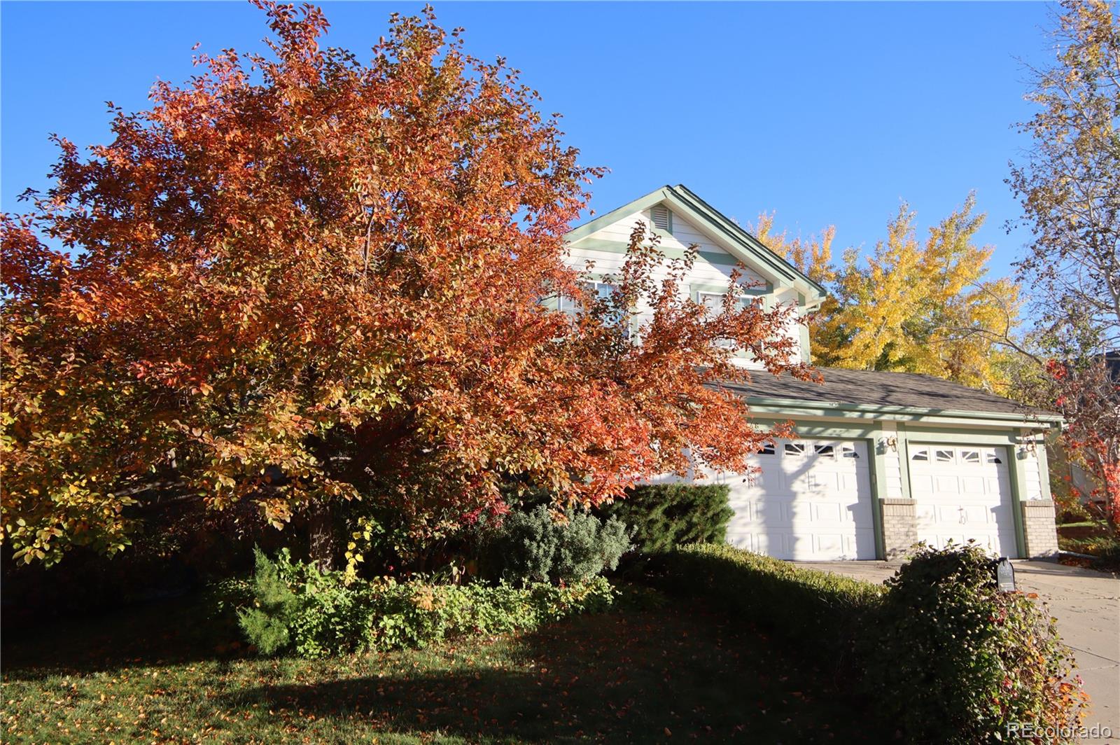 MLS Image #37 for 248  summit trail,broomfield, Colorado