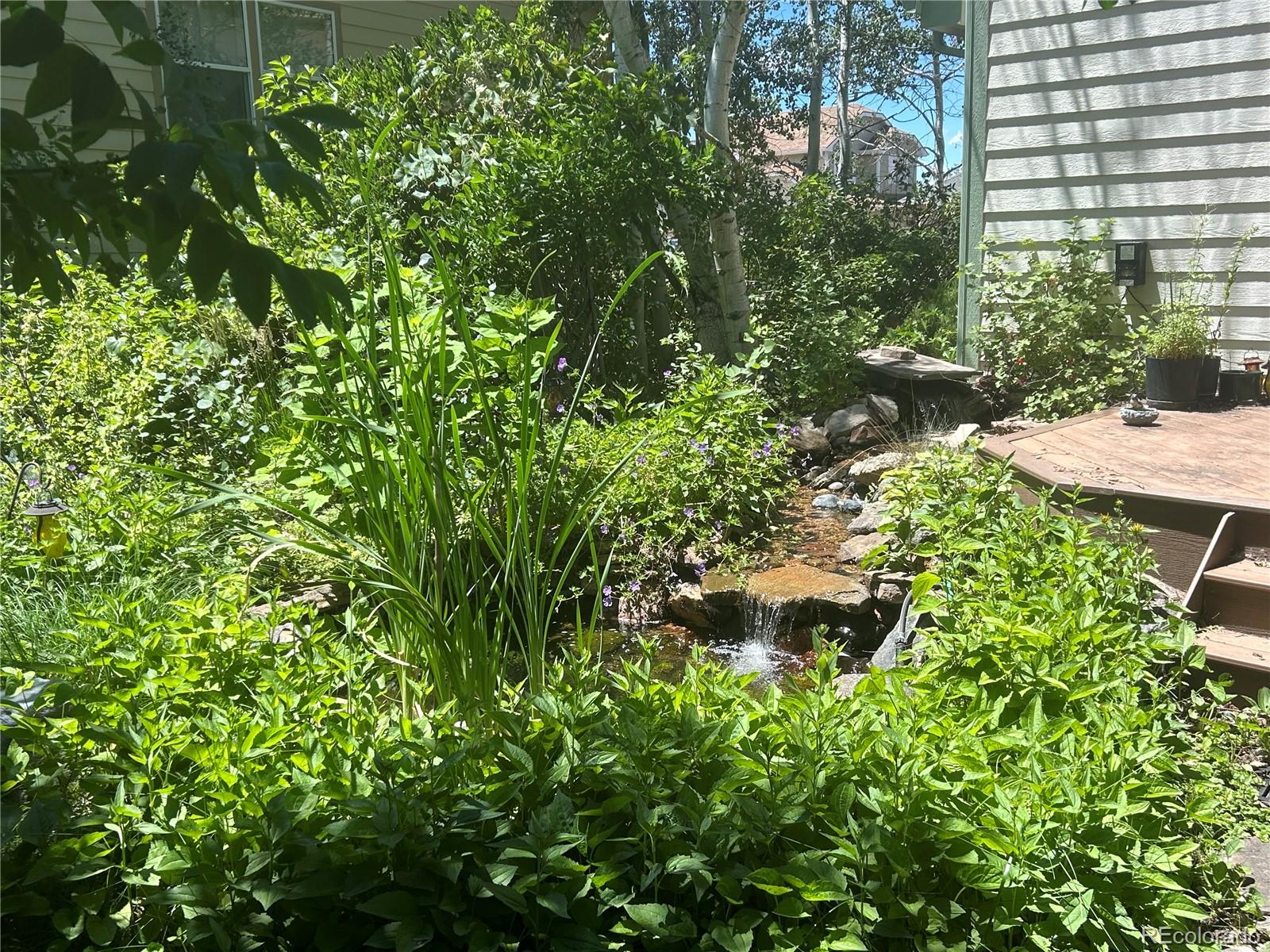 MLS Image #42 for 248  summit trail,broomfield, Colorado