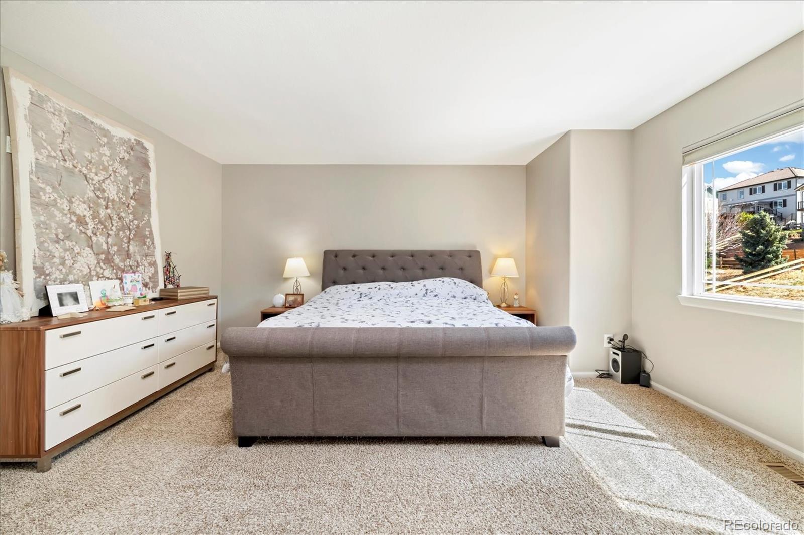 MLS Image #19 for 2208  bellavista street,castle rock, Colorado