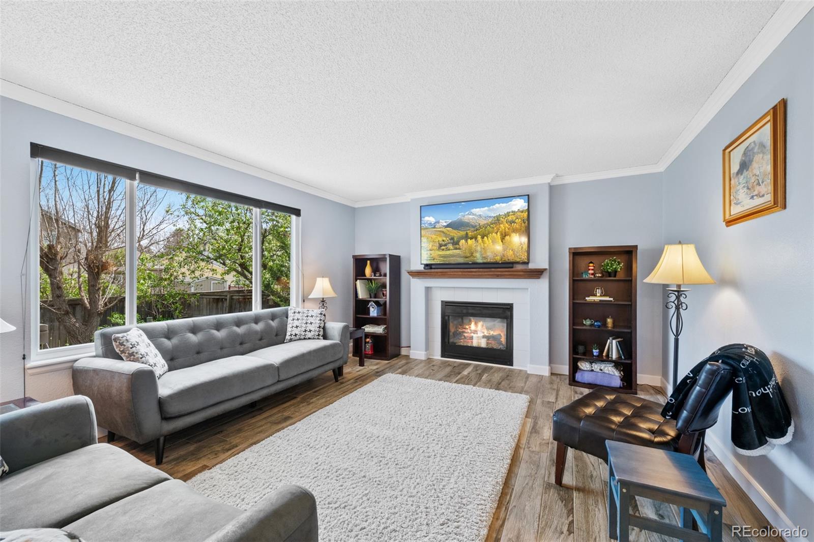 MLS Image #10 for 10512  hyacinth street,highlands ranch, Colorado
