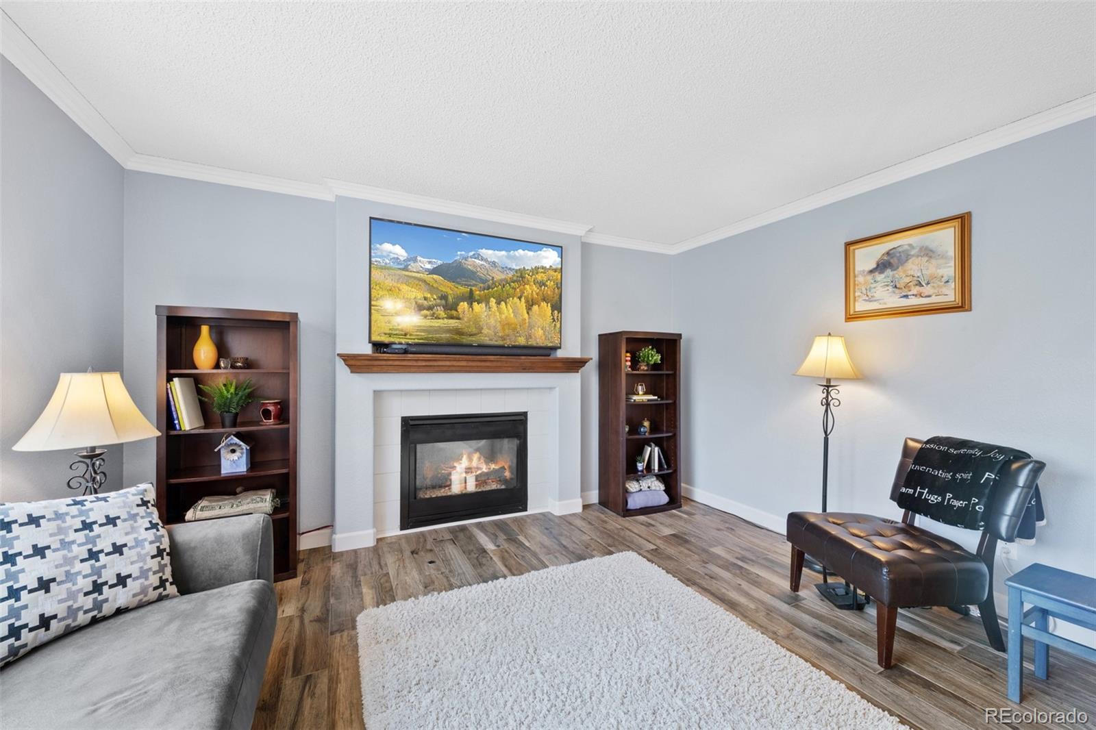 MLS Image #11 for 10512  hyacinth street,highlands ranch, Colorado