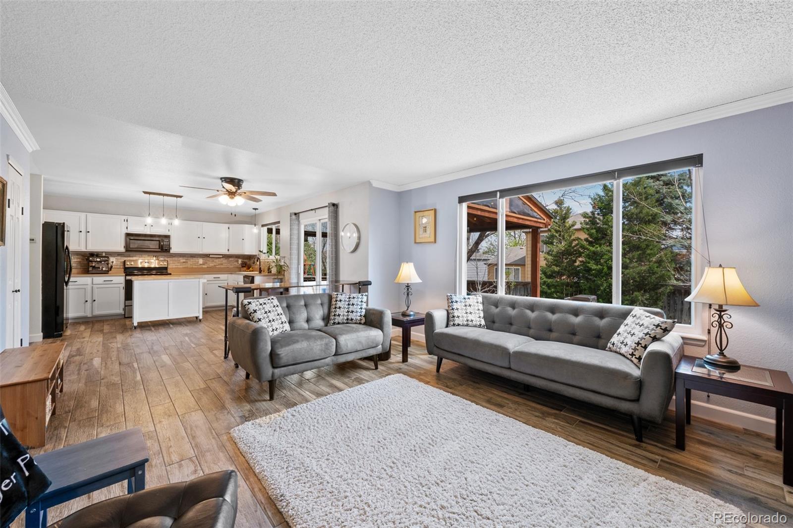 MLS Image #12 for 10512  hyacinth street,highlands ranch, Colorado