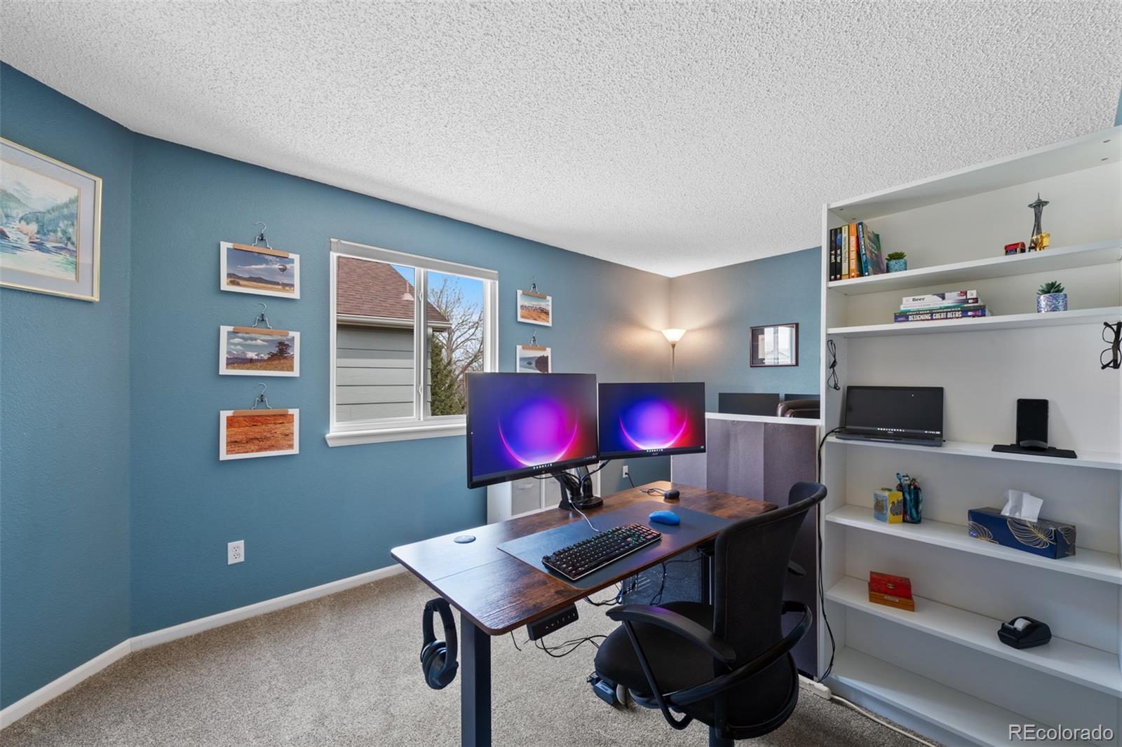 MLS Image #16 for 10512  hyacinth street,highlands ranch, Colorado