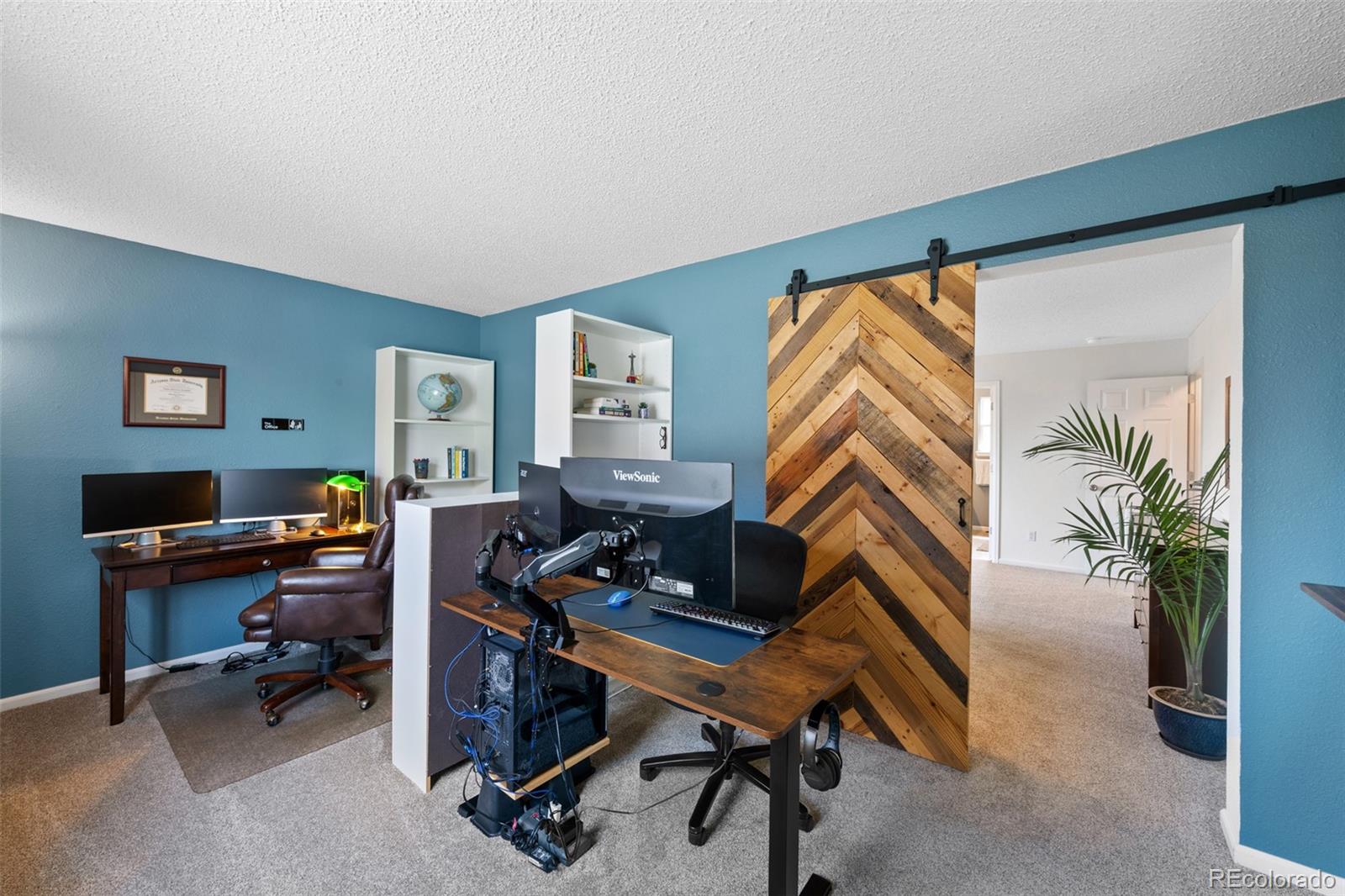 MLS Image #17 for 10512  hyacinth street,highlands ranch, Colorado