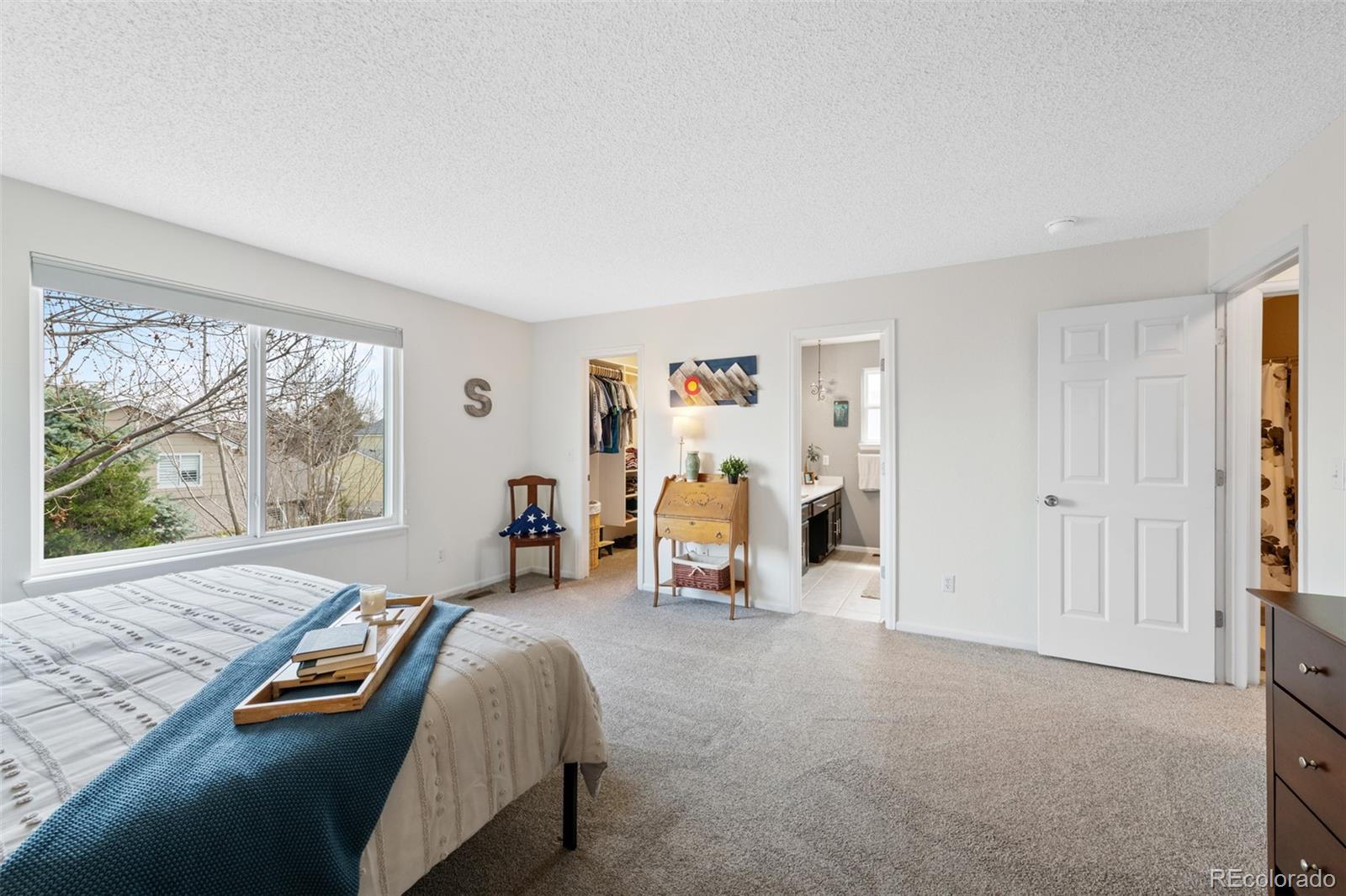 MLS Image #19 for 10512  hyacinth street,highlands ranch, Colorado